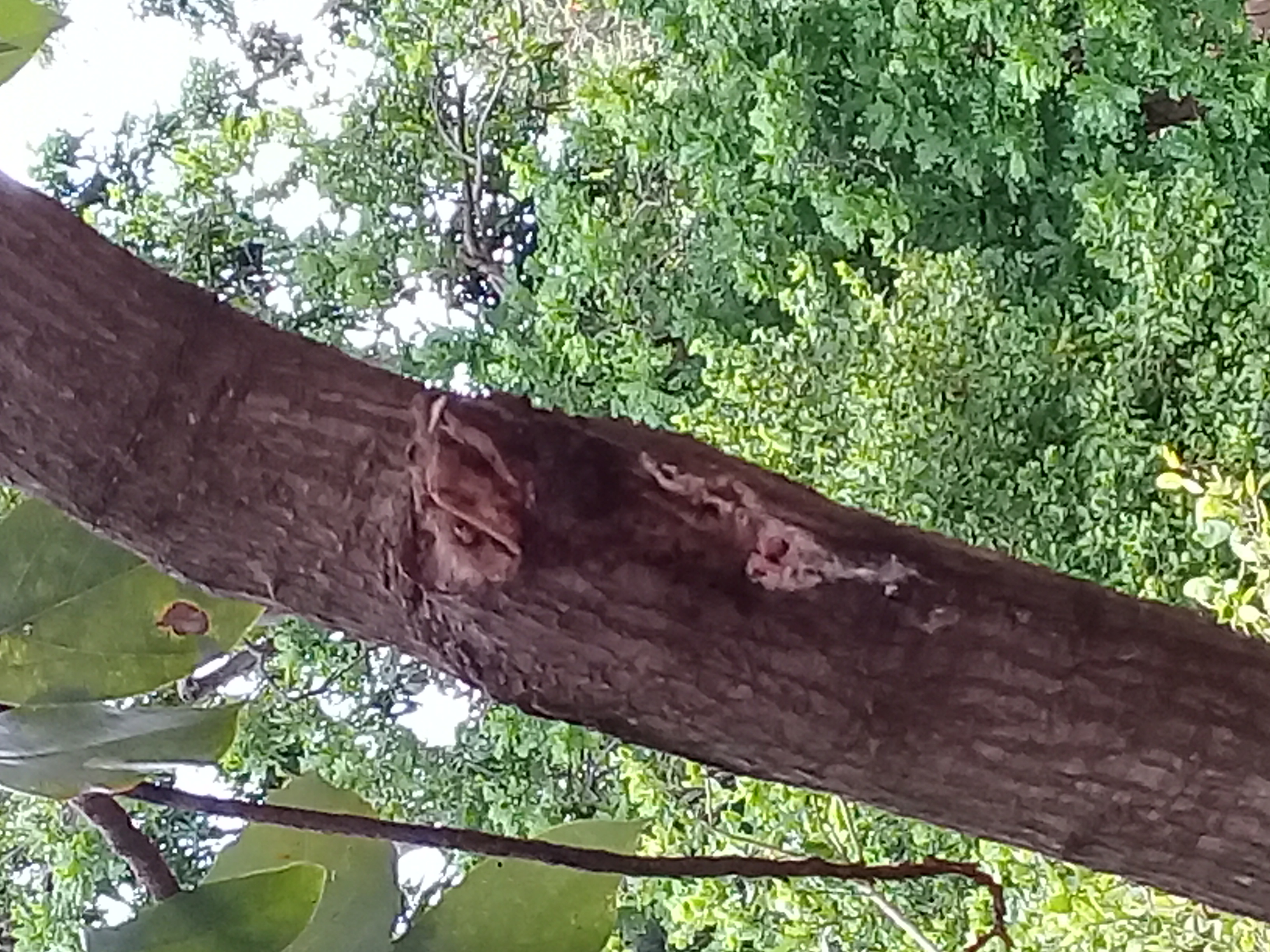 20210723_141740.jpg