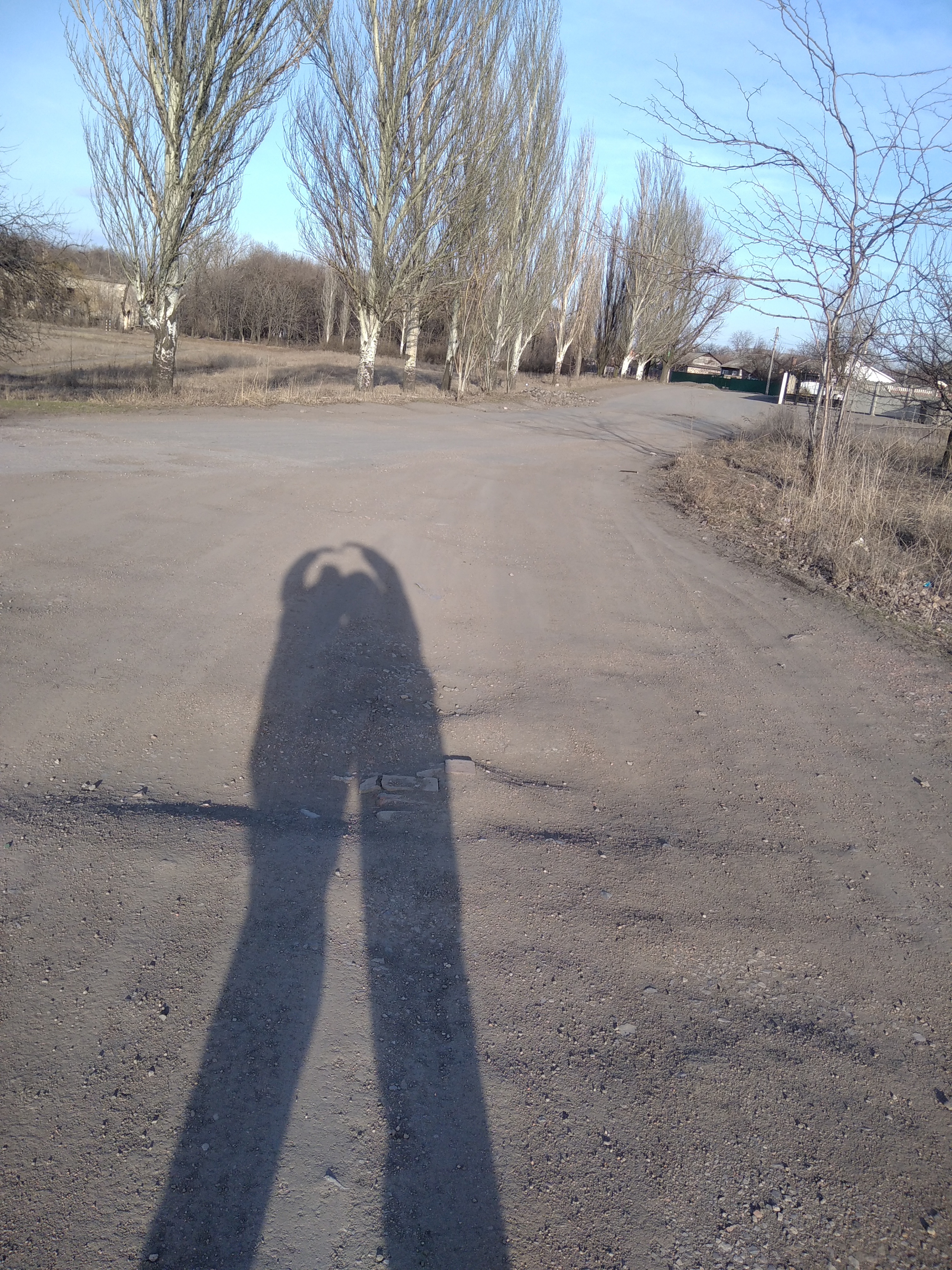 IMG_20220328_172946_1.jpg