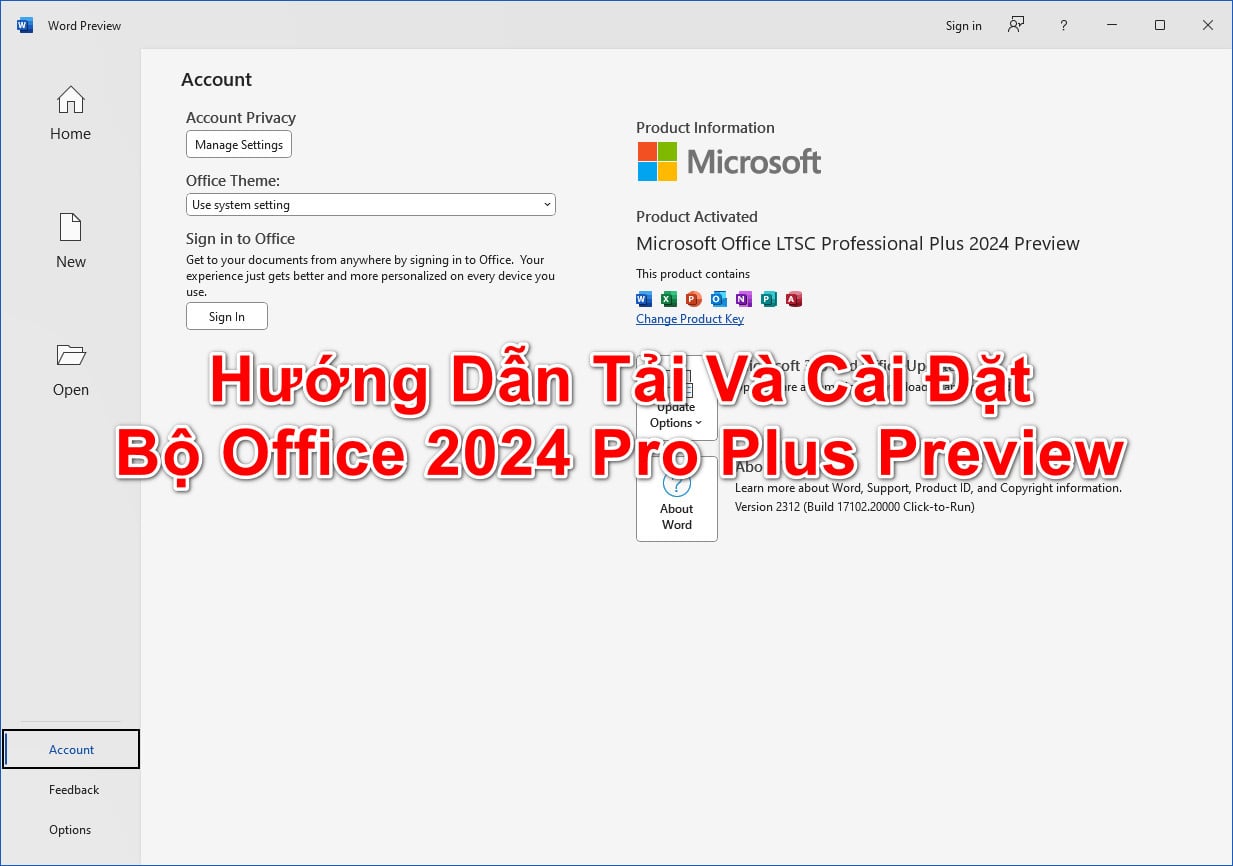 office-2024-pro-plus-huong-dan-tai-va-cai-dat-ban-preview-full (1).jpg