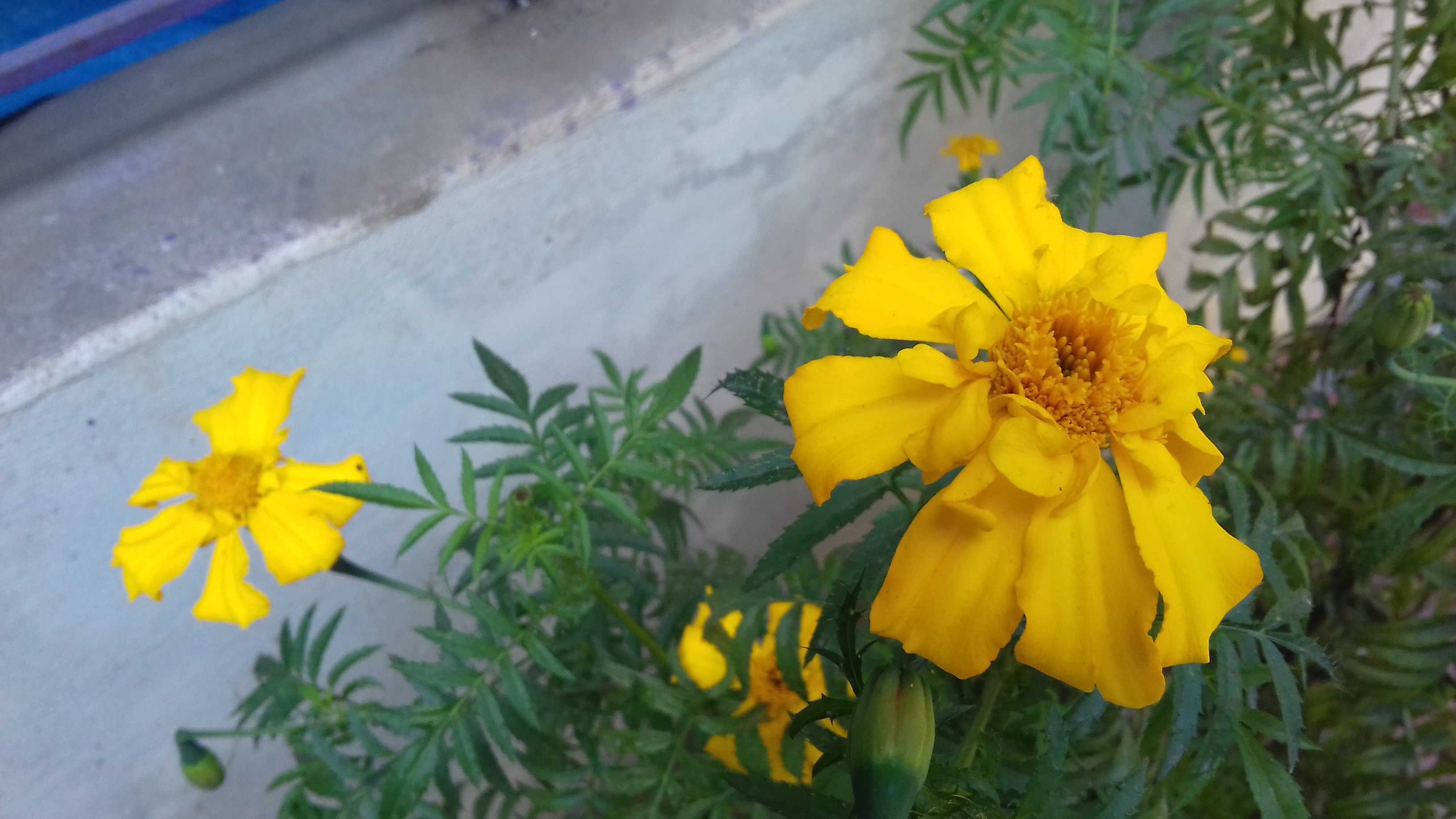 20190213_124709.jpg