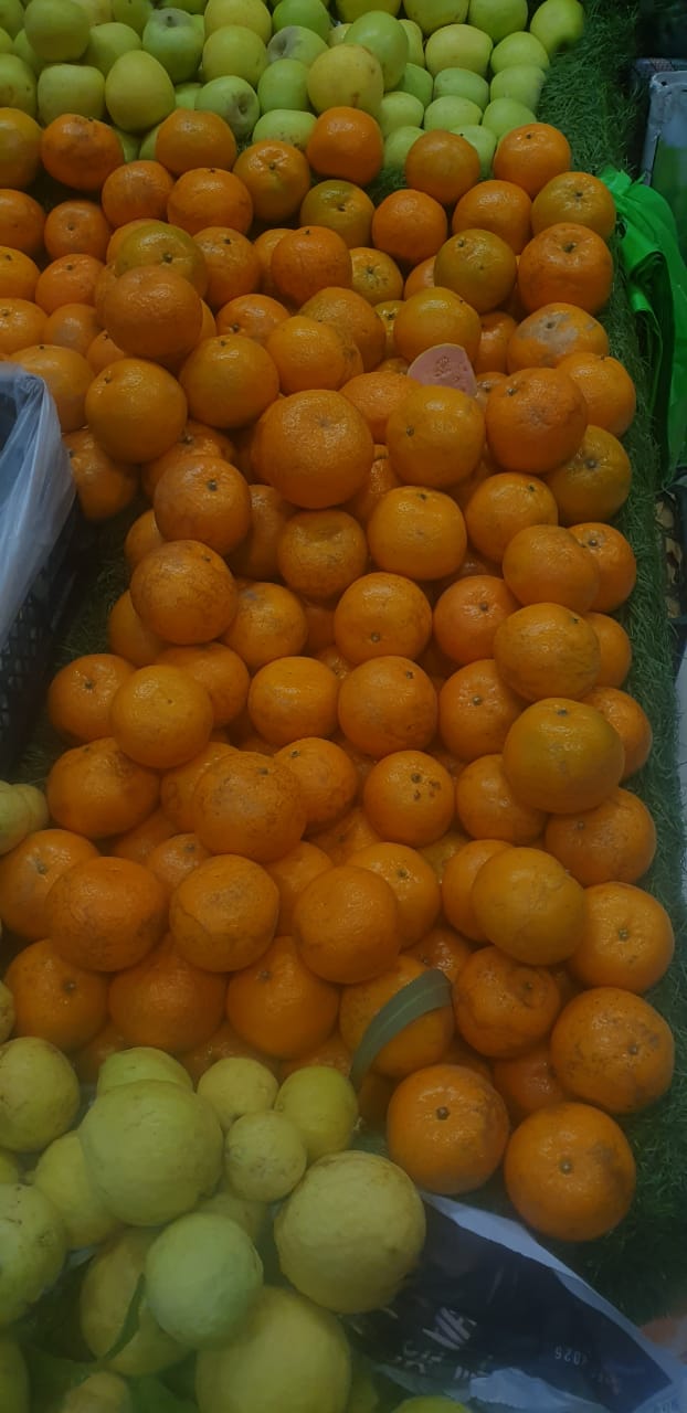 picture (3).jpeg