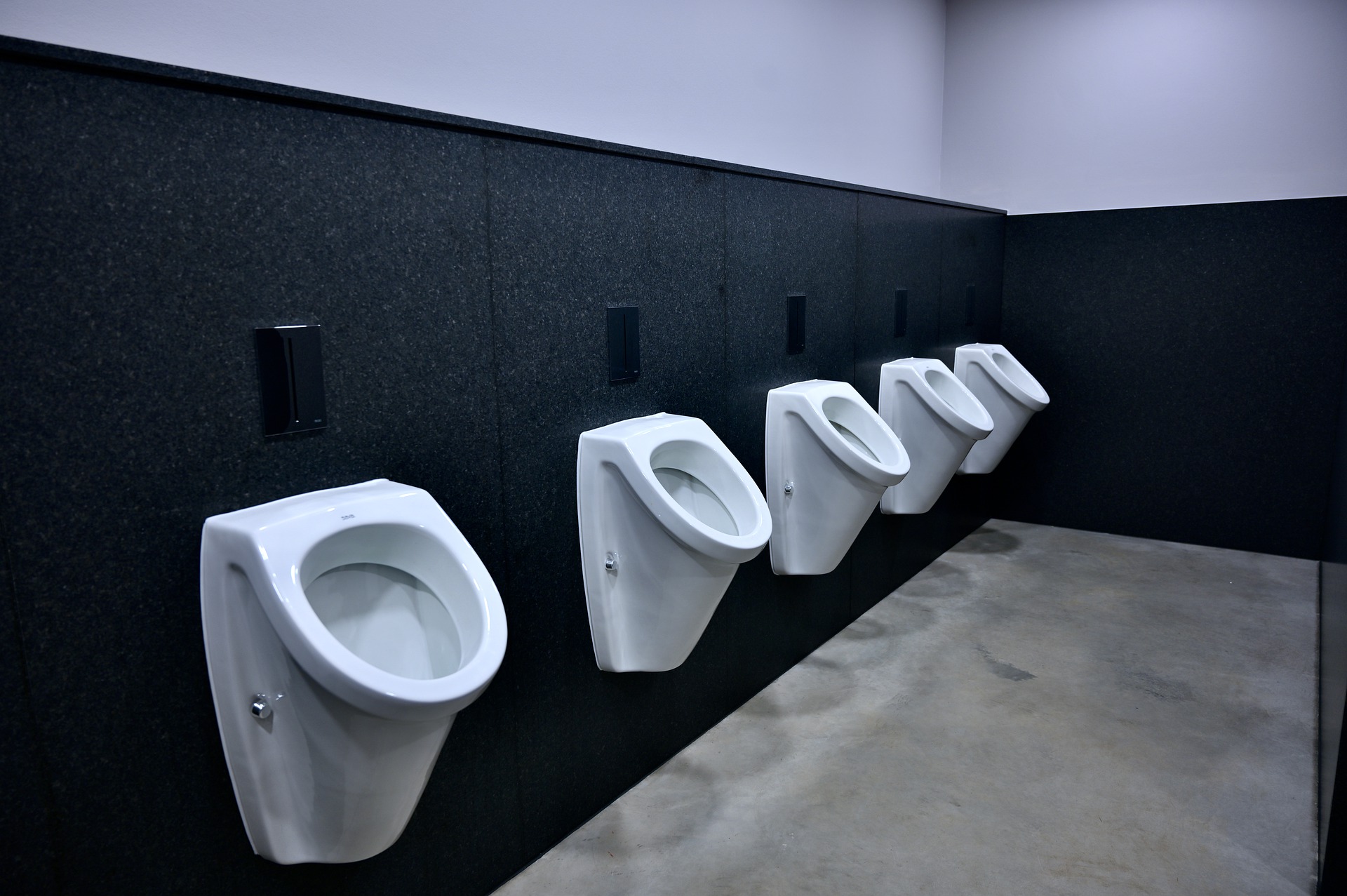 toilet-5002659_1920.jpg