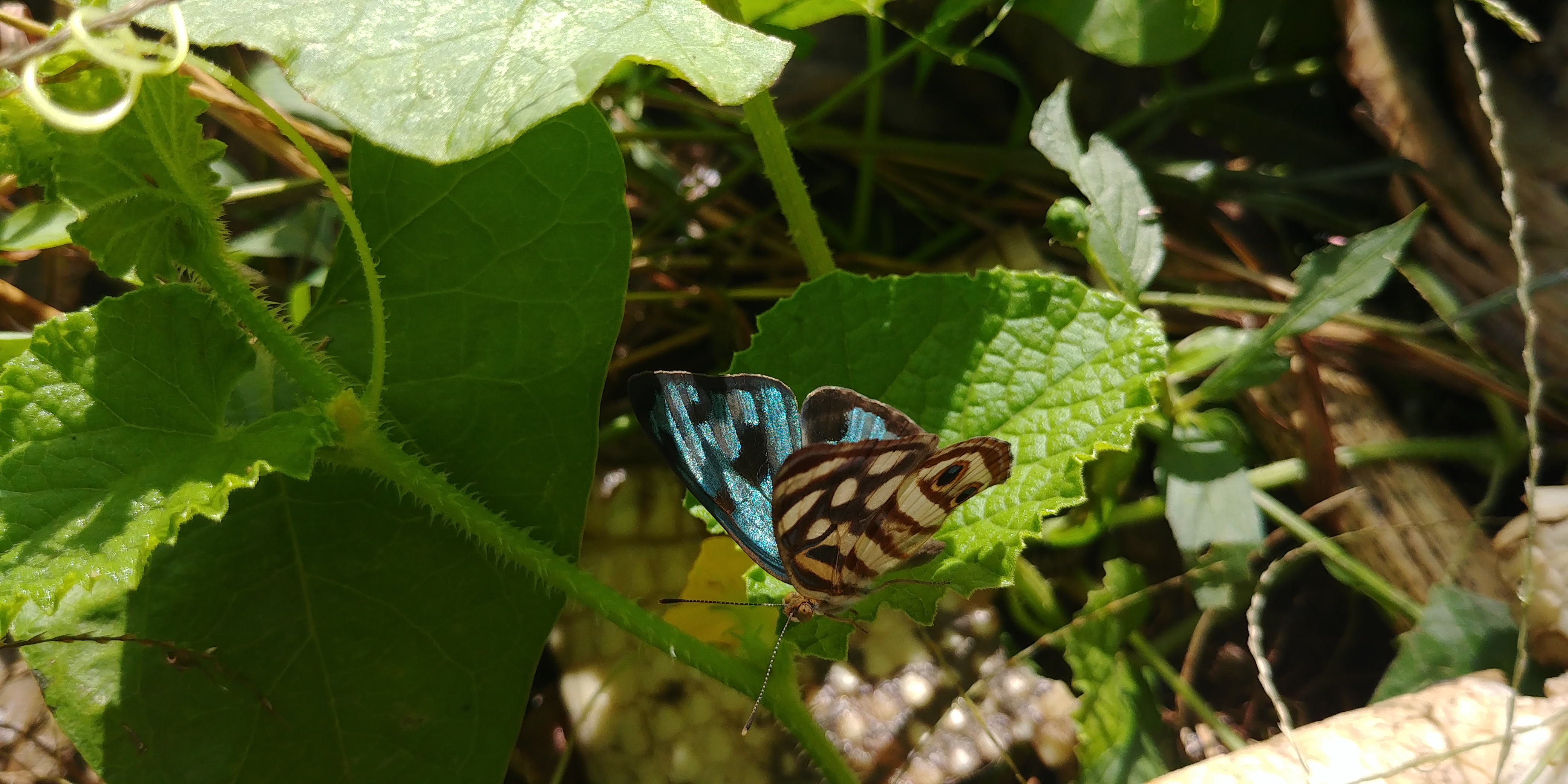 20180906_100943.jpg