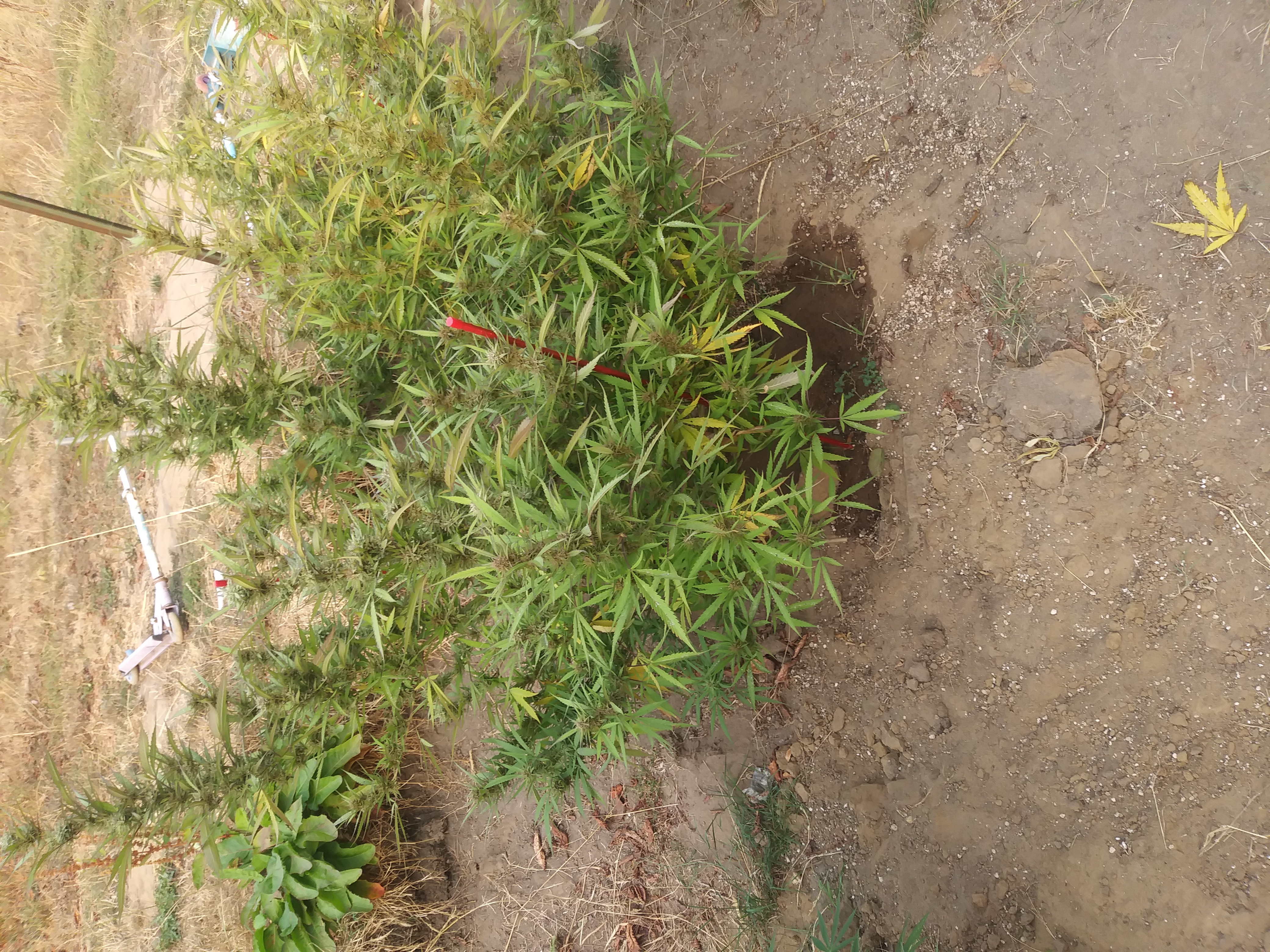 20170916_163821.jpg
