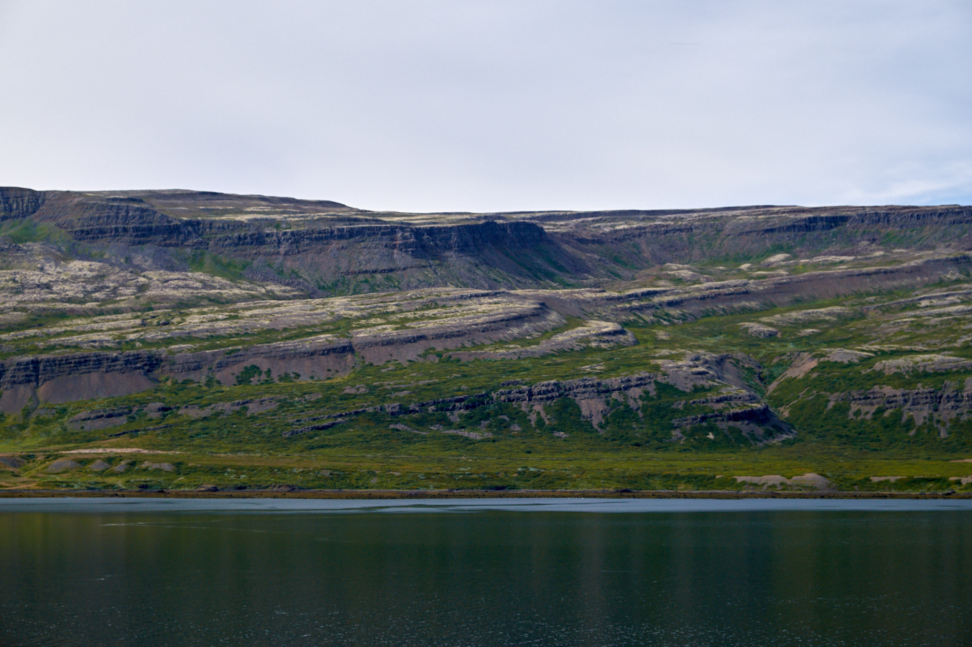 DSCF4511.jpg