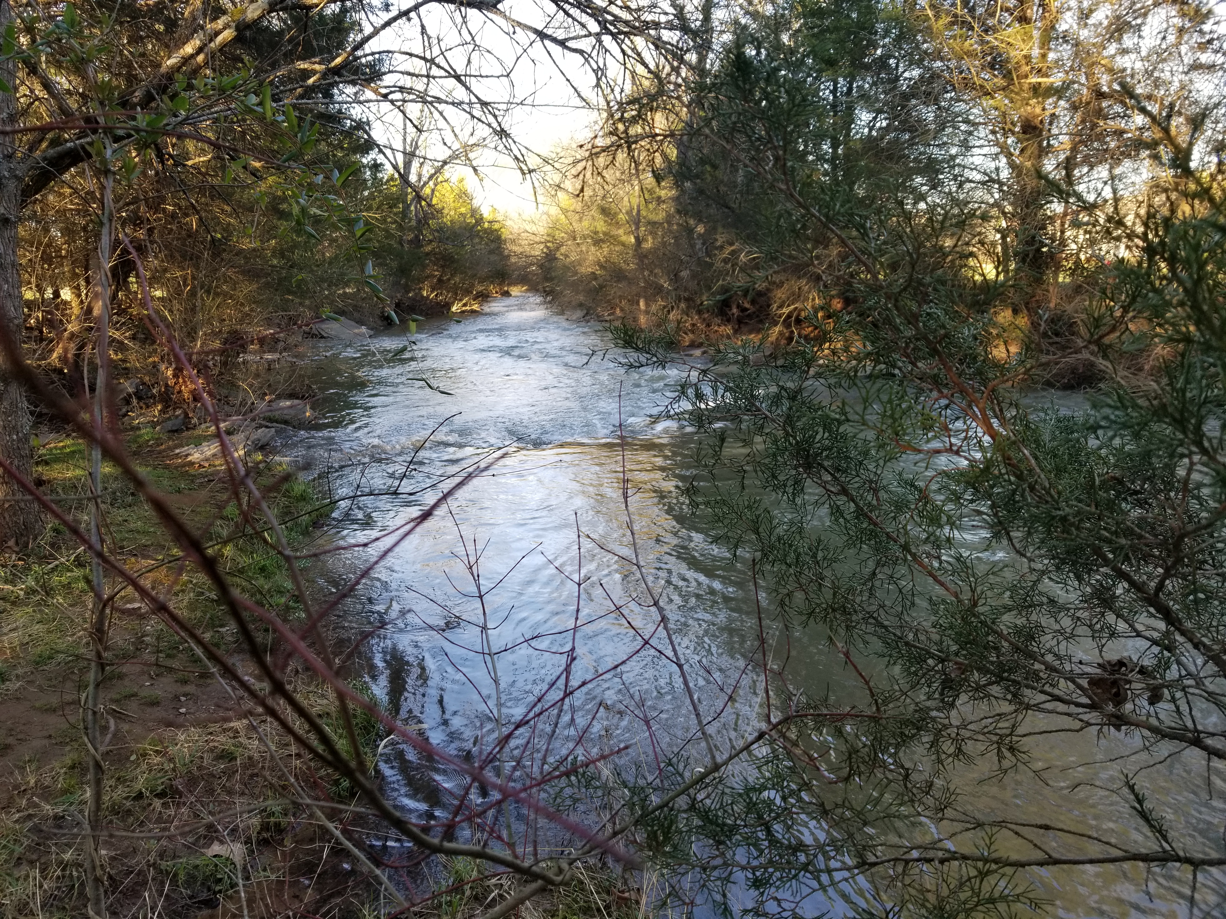20190224_162846.jpg