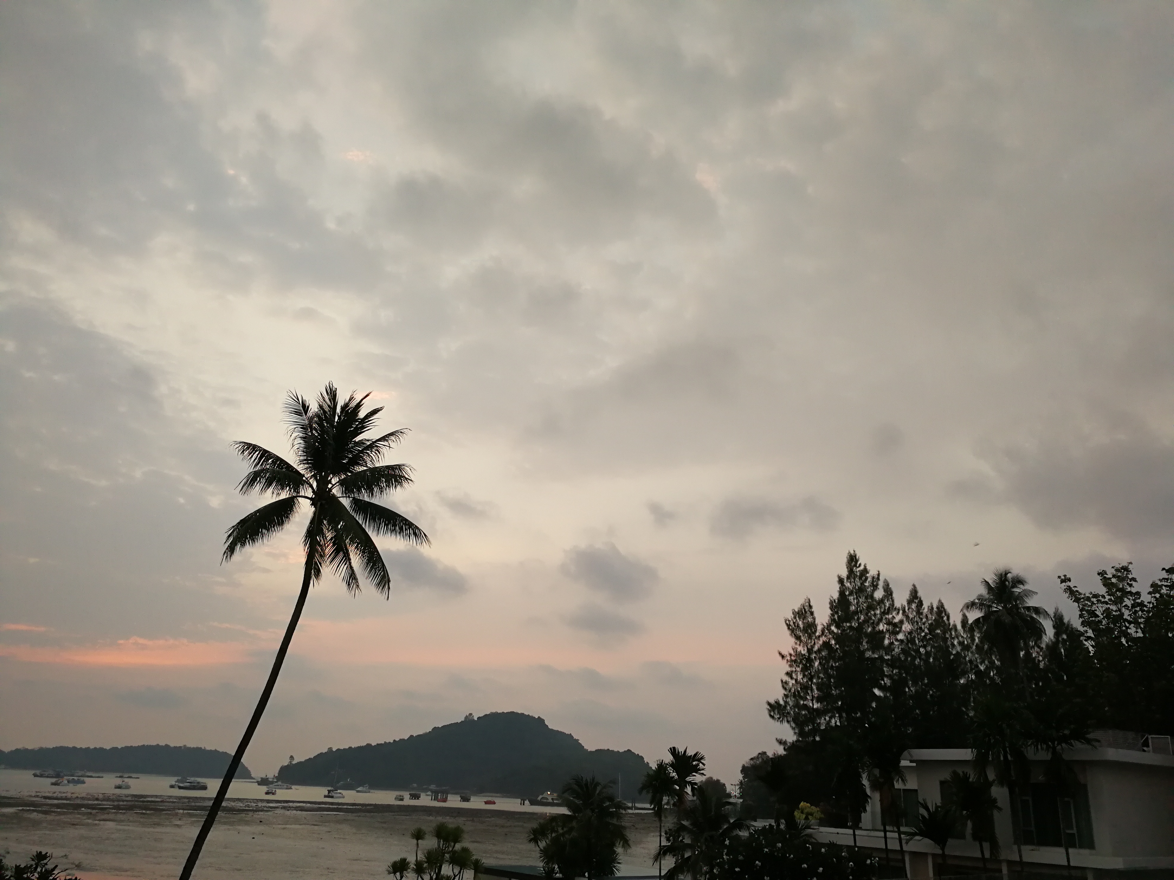 IMG_20180405_061604.jpg