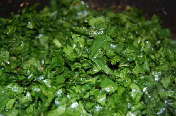 buy-water-leaf-online.jpg