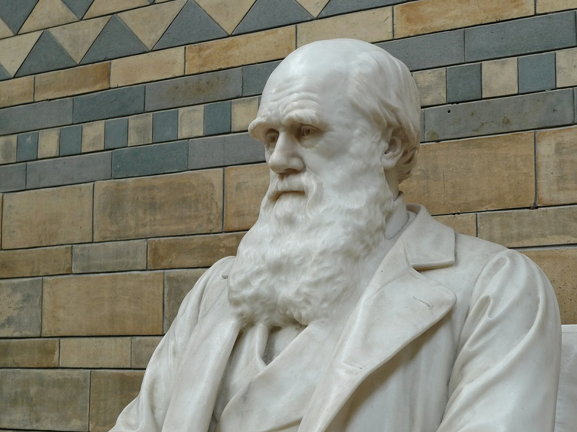 .darwin-623194_1920.jpg