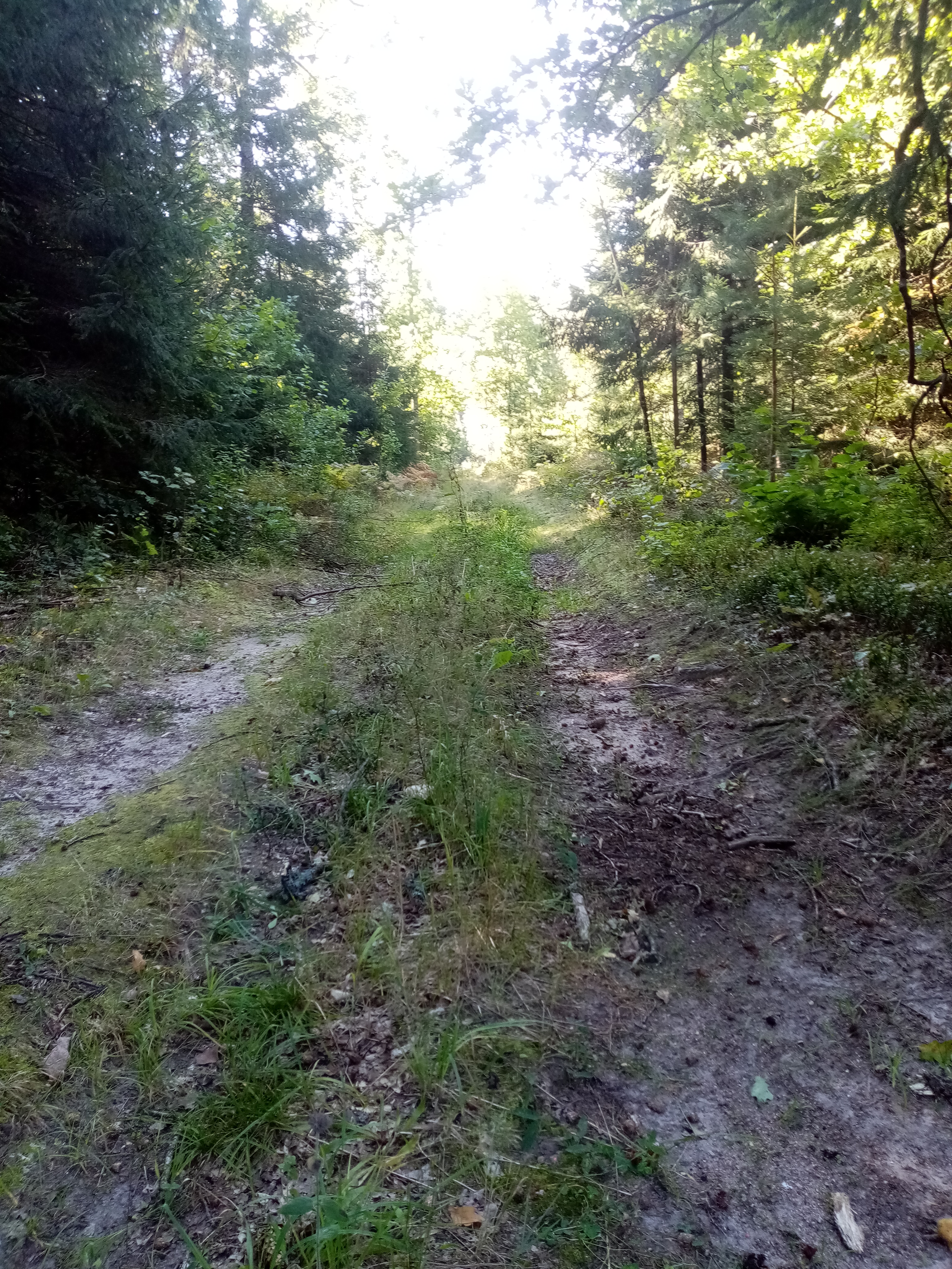 IMG_20210908_102002.jpg