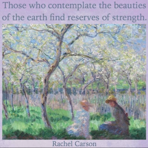 Screen Shot 2020-04-11 at 9.00.20 PM.png