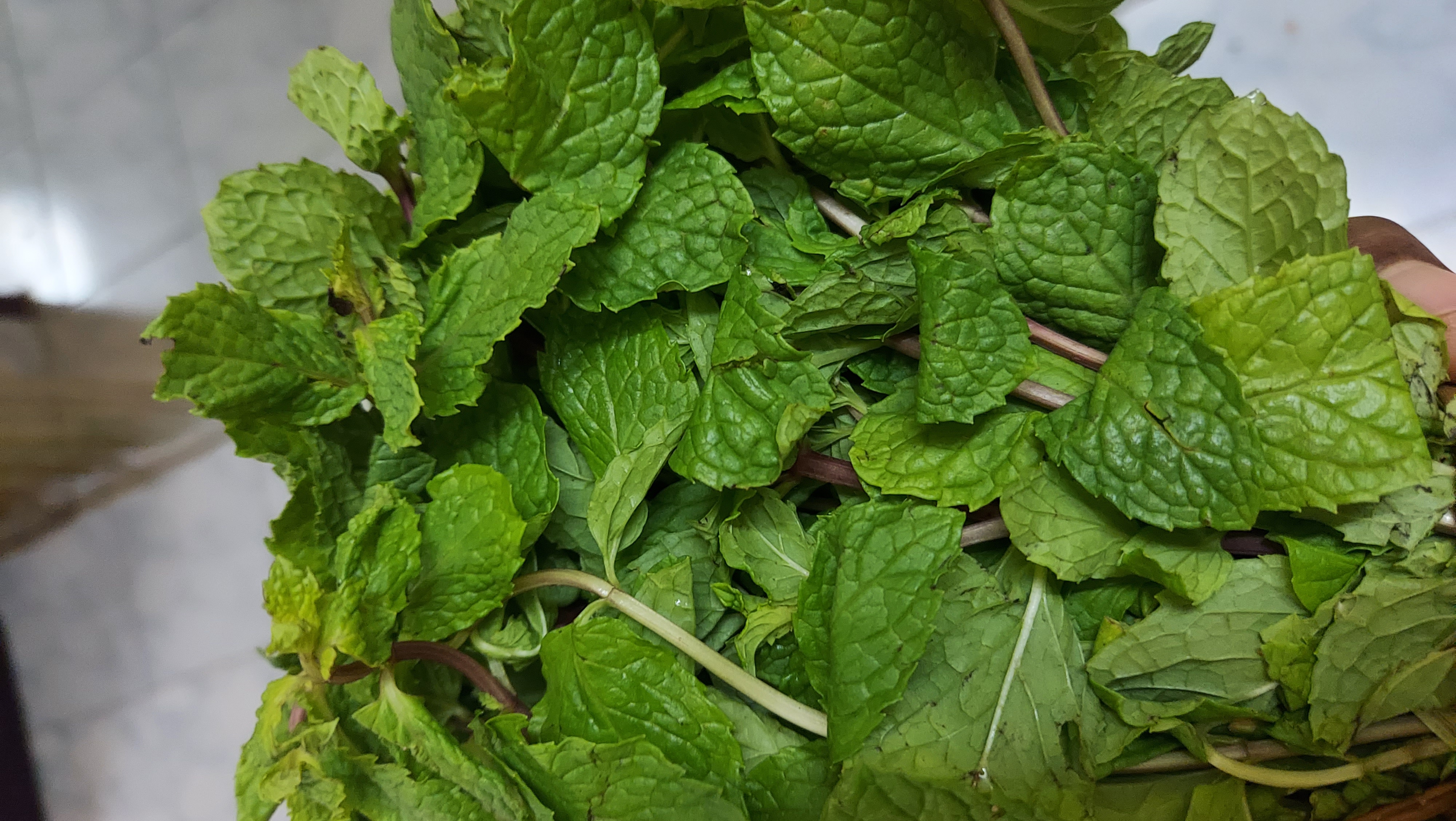 20210718_181536.jpg