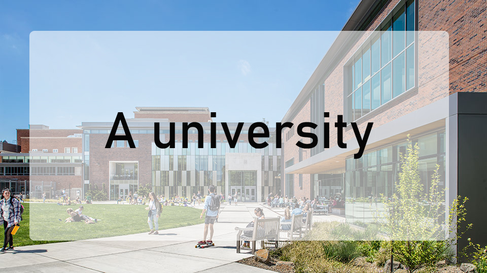 university.jpg