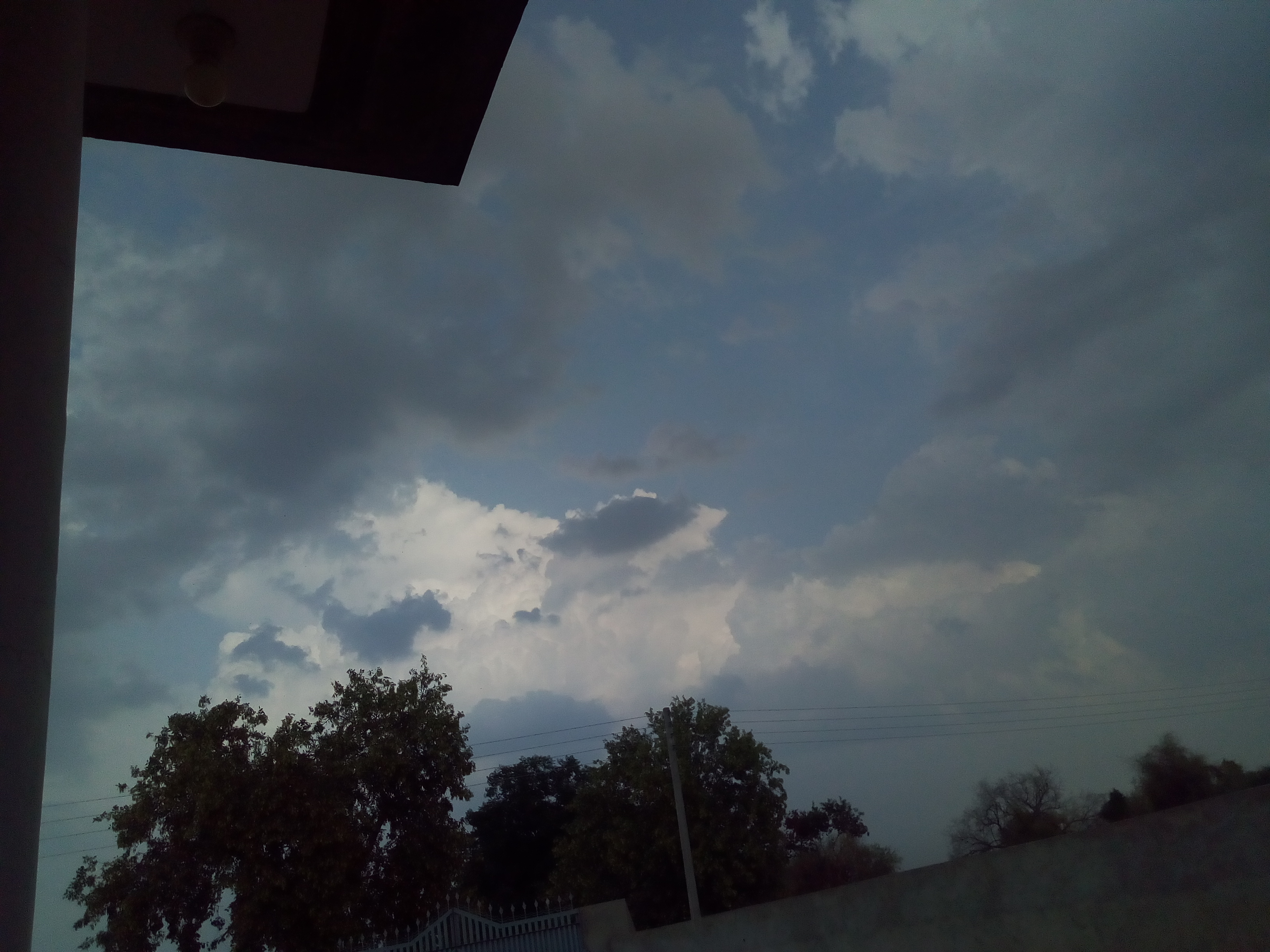 IMG_20210514_164207.jpg