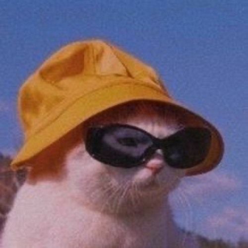 Steemit profile picture for @feudal