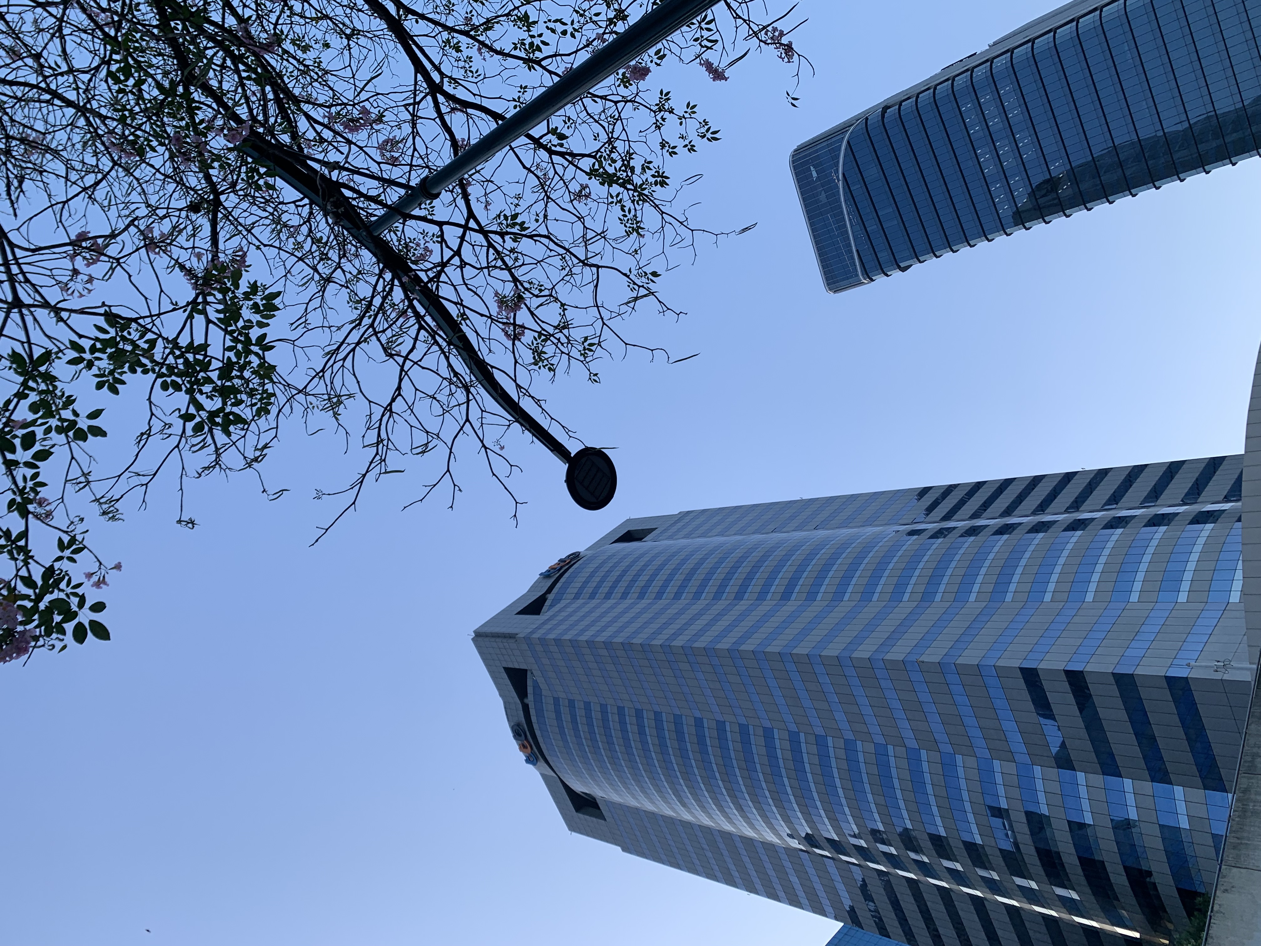 Chatuchak Park201.jpg