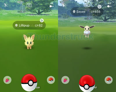 Shiny Lillipup and Eevee.jpg
