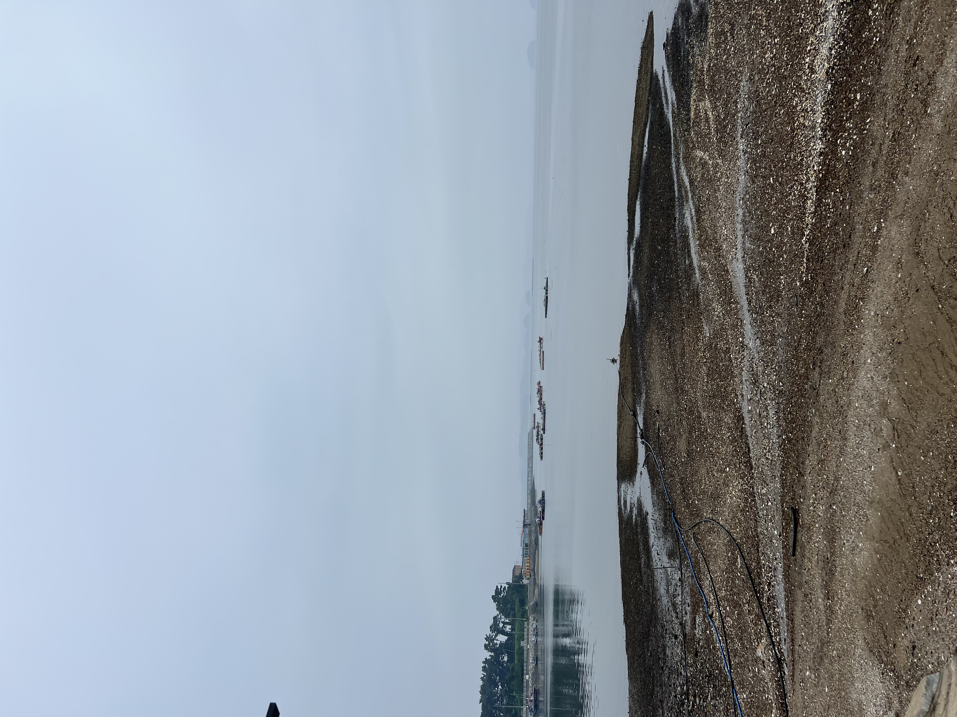 IMG_5050.jpeg