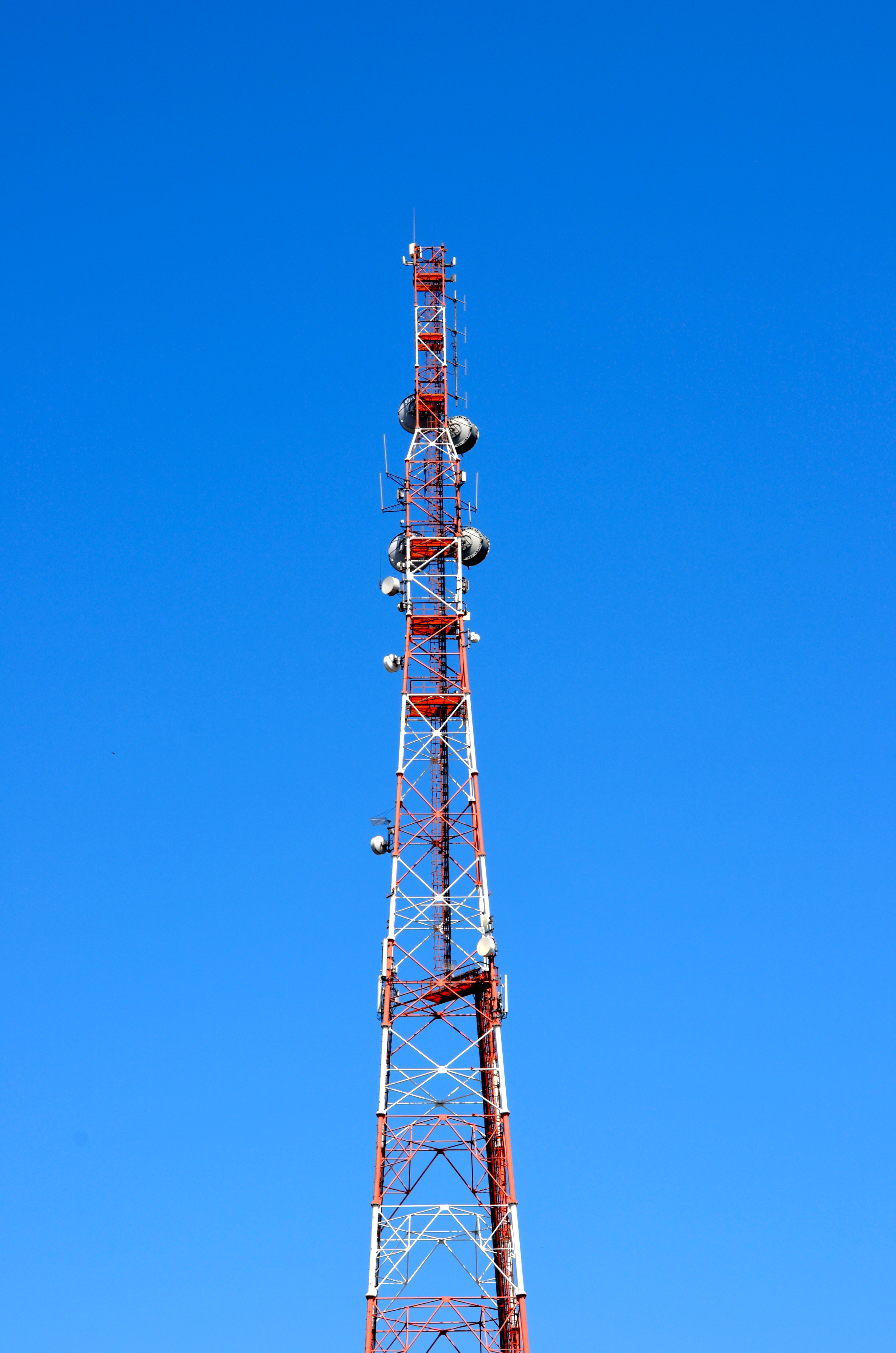DSC_0552.jpg