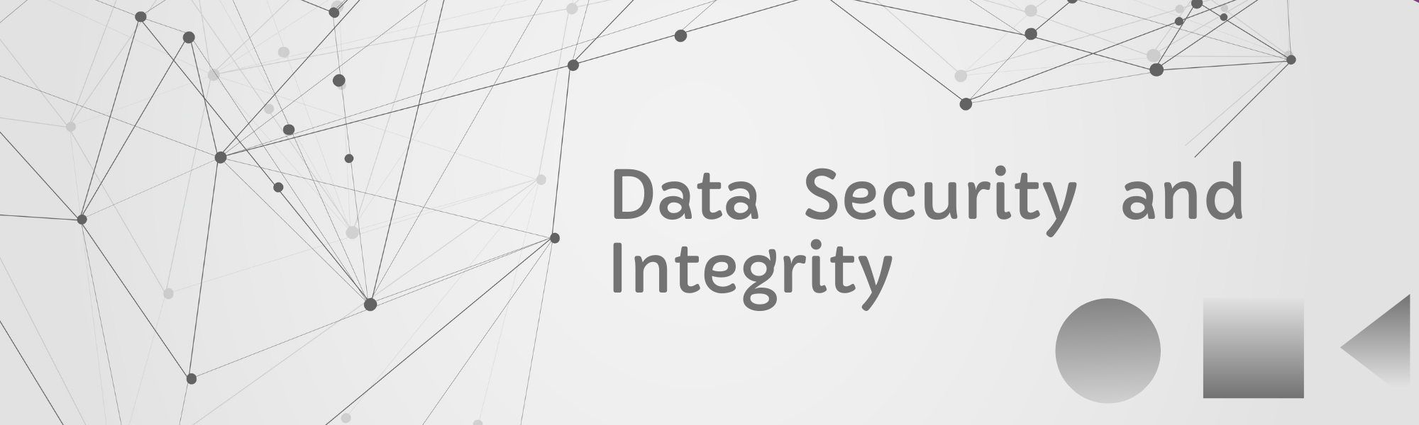 Data Security and Integrity.png