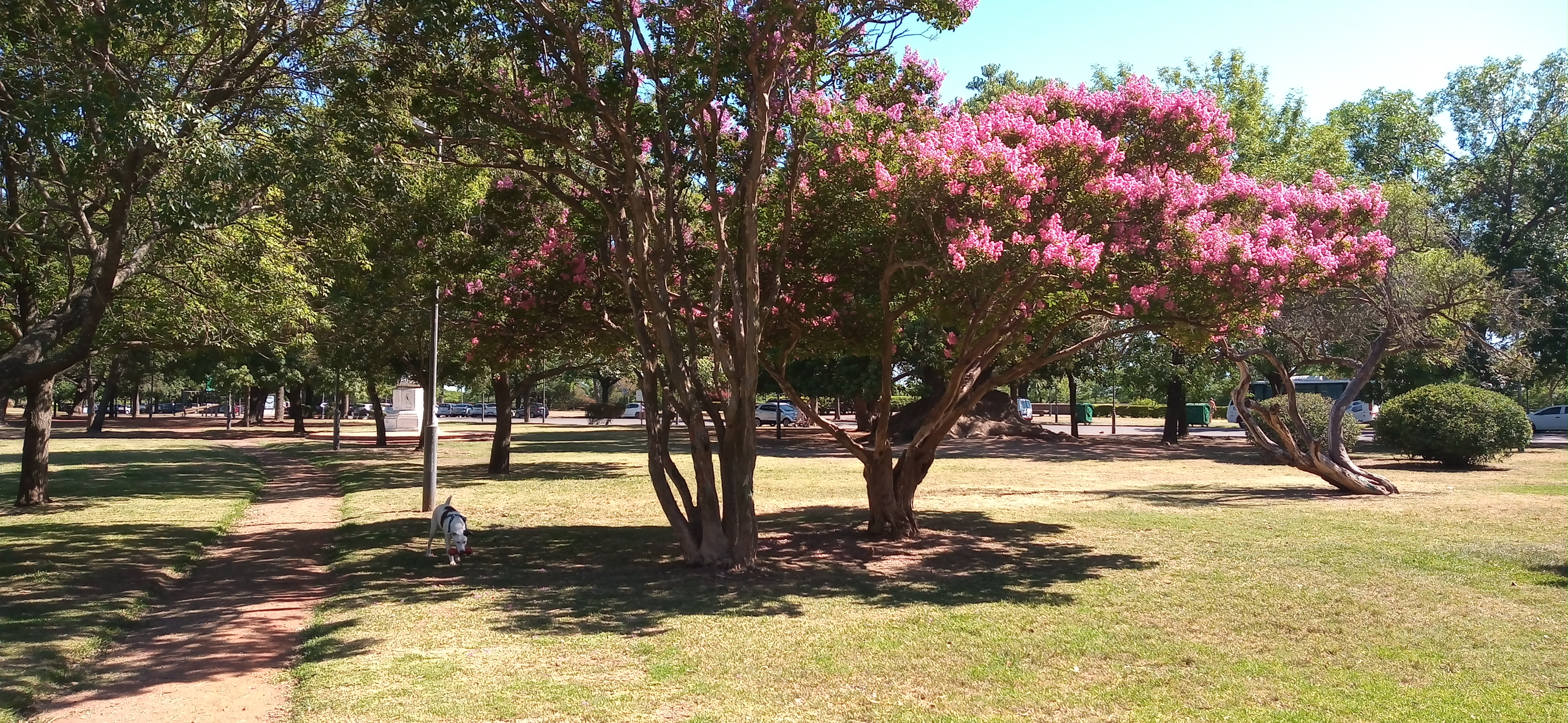 IMG_20211223_094740004.jpg