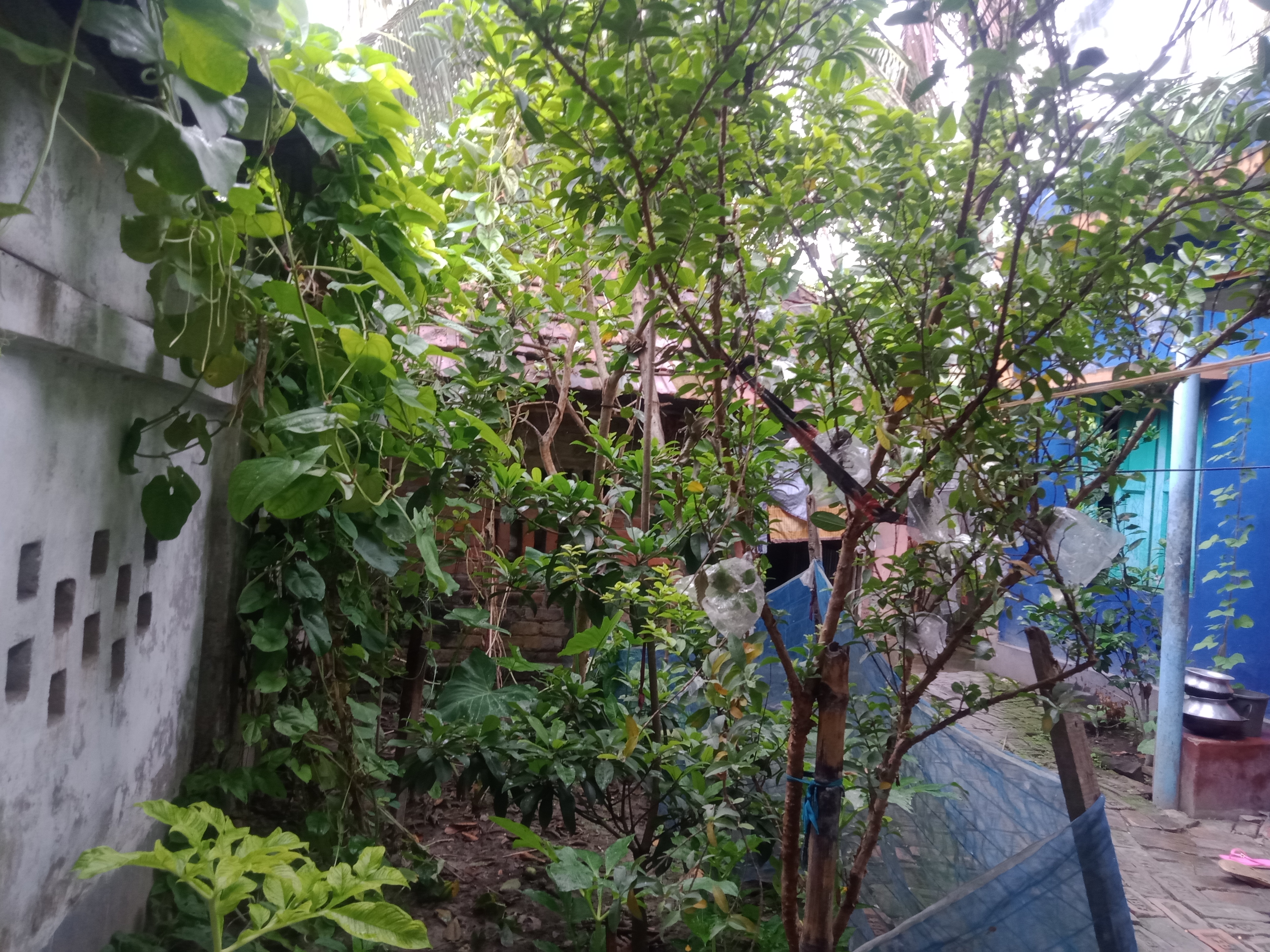 IMG20240628063325.jpg
