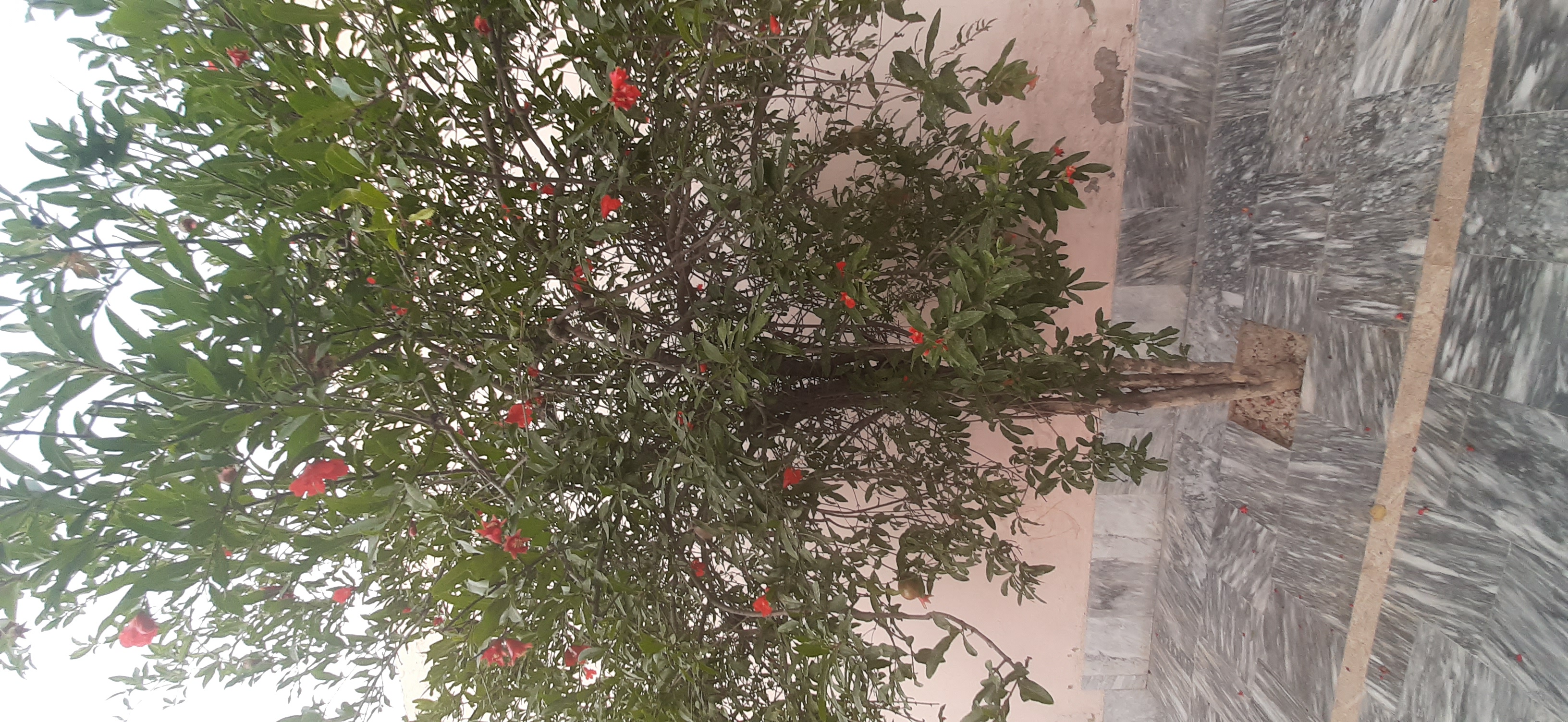 20210422_180346.jpg