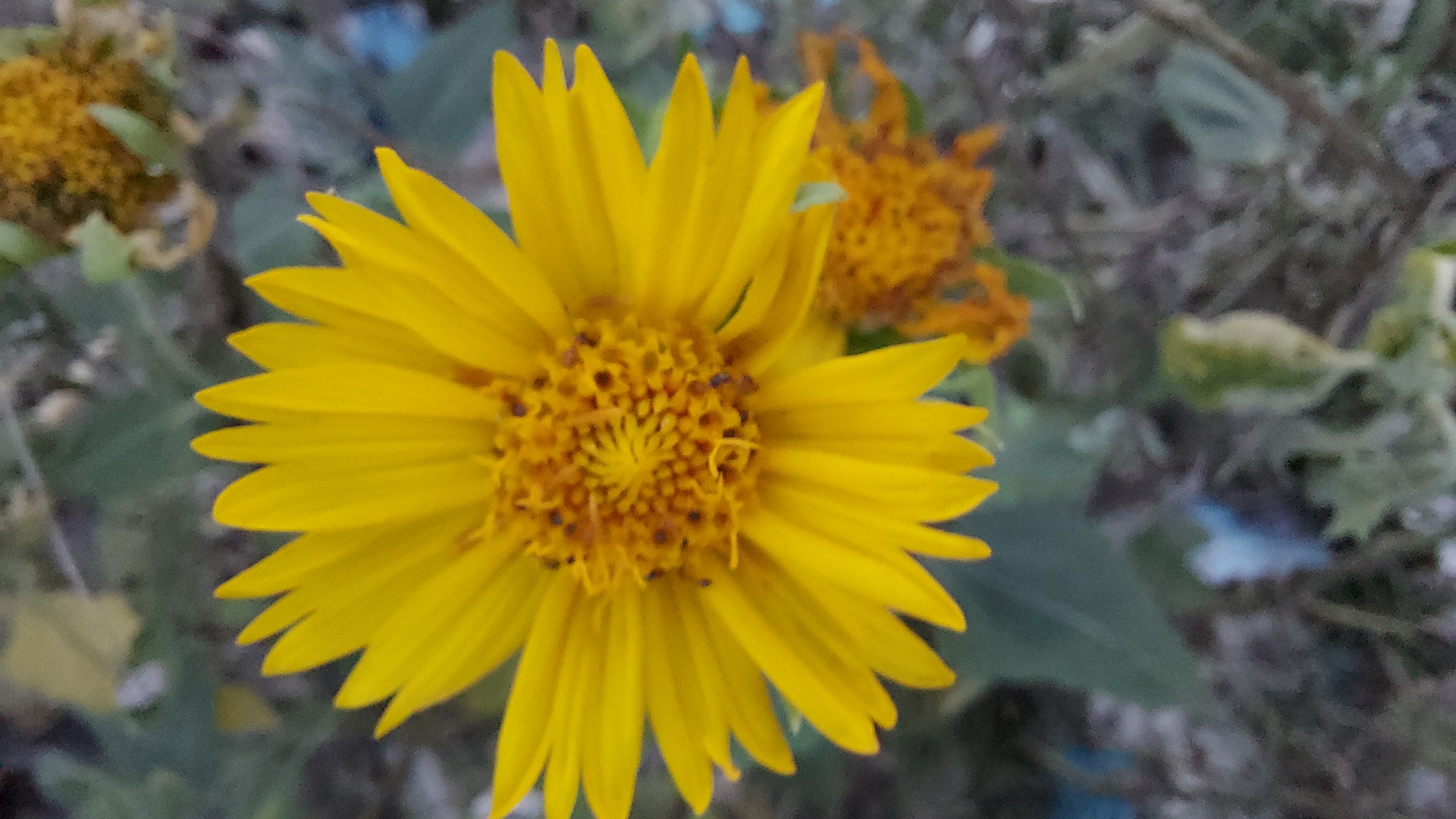20210927_175726.jpg