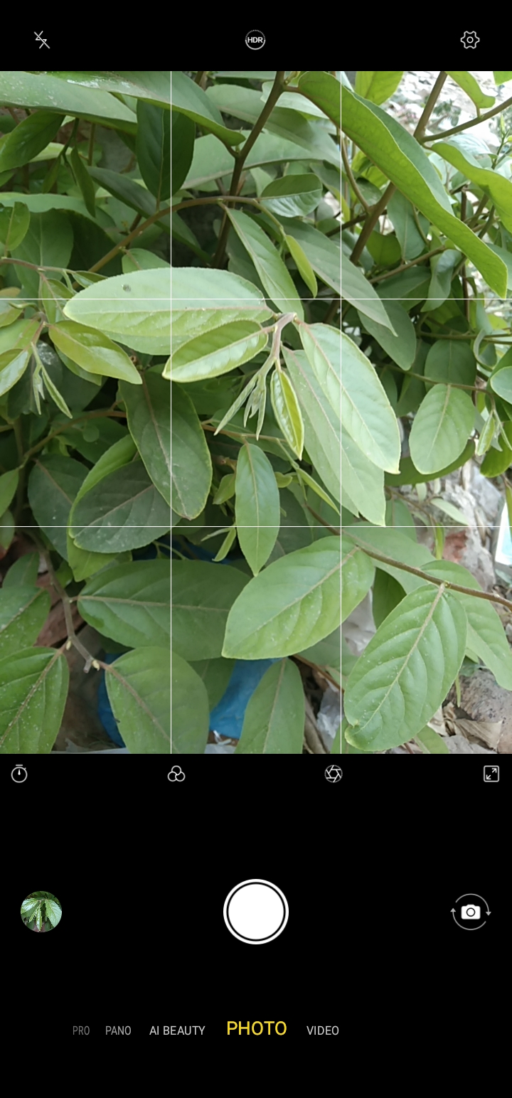 Screenshot_20230516_145016.jpg