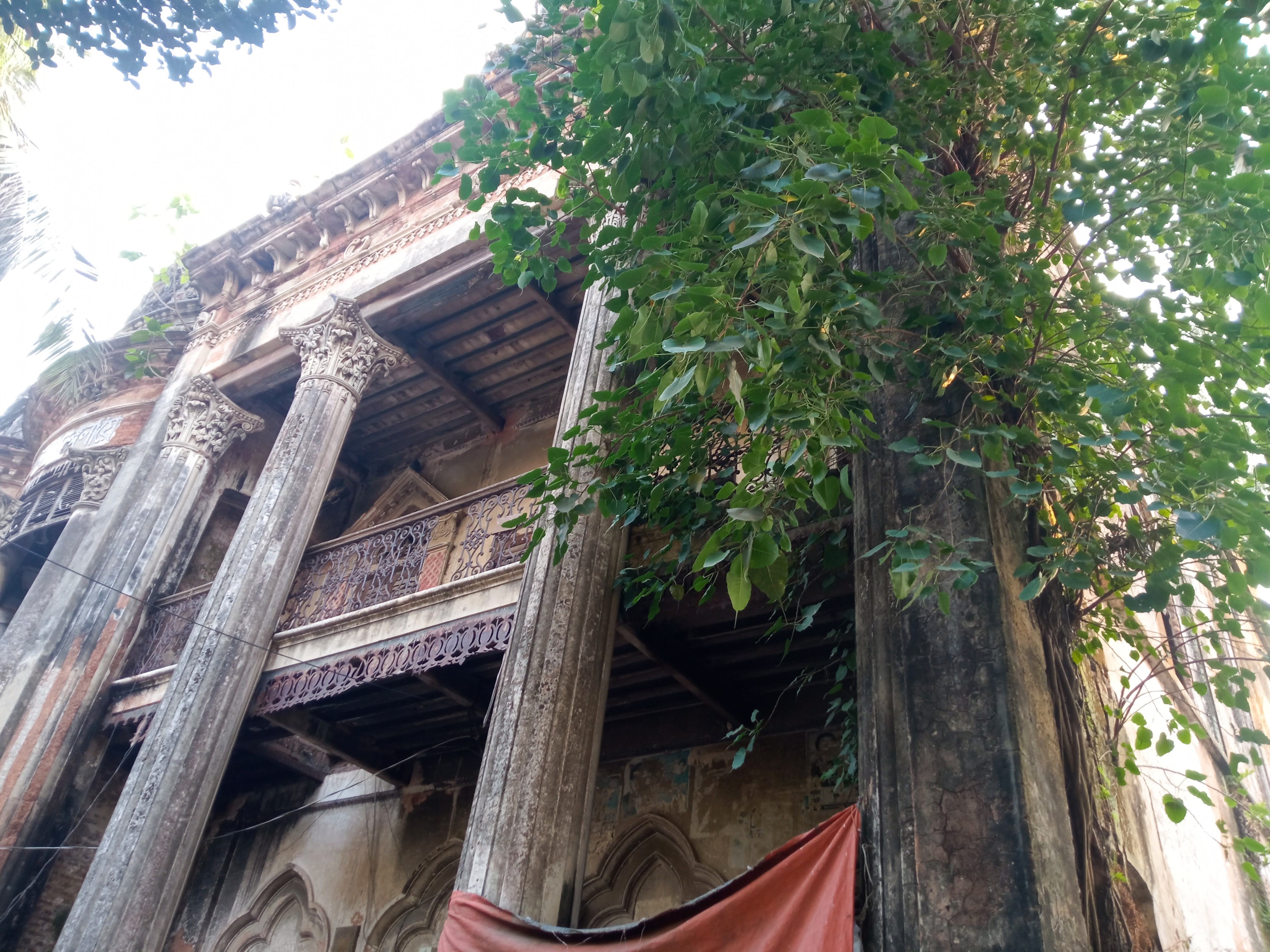 birulia (3).jpg