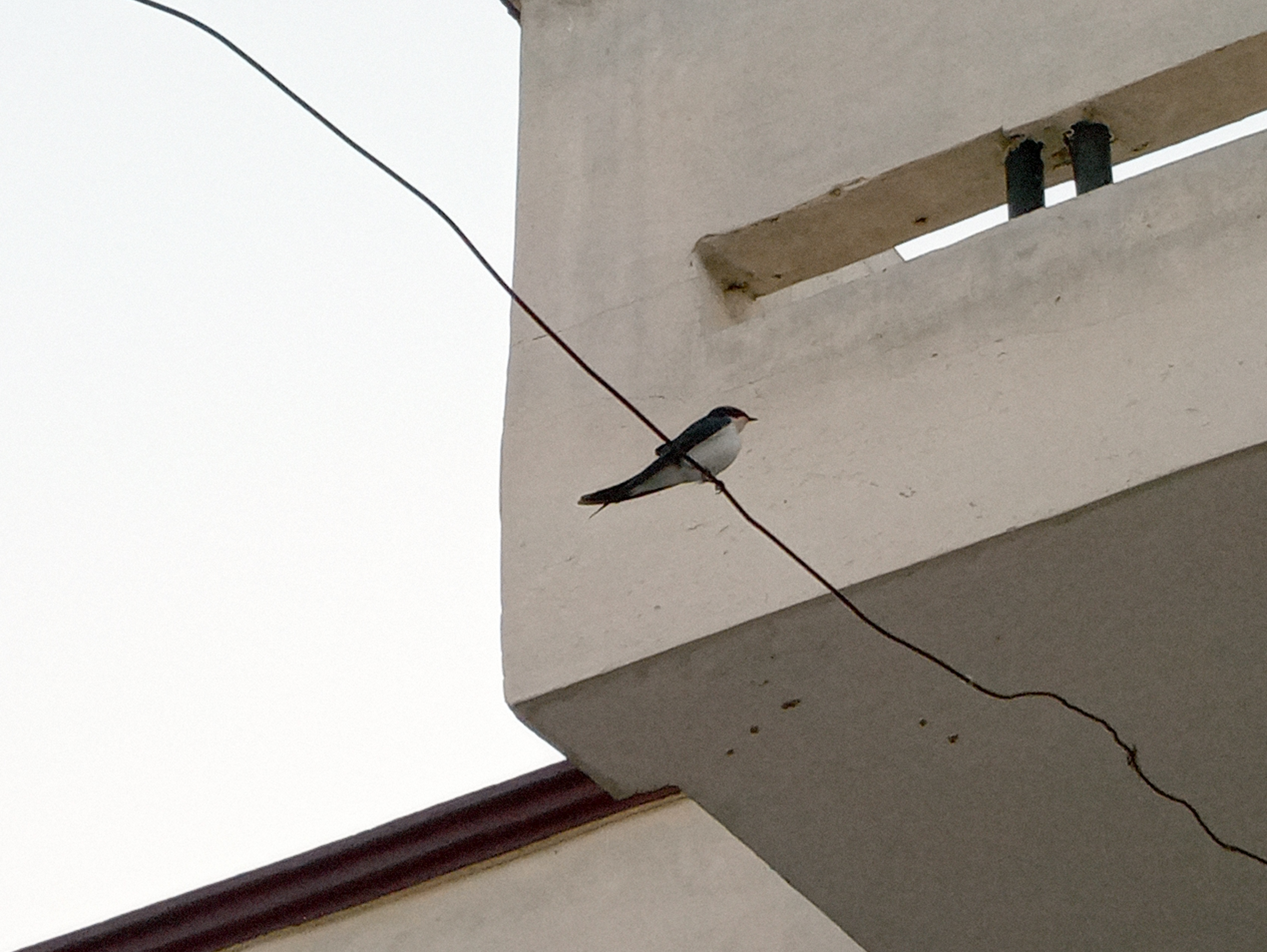 20200926_060831.jpg