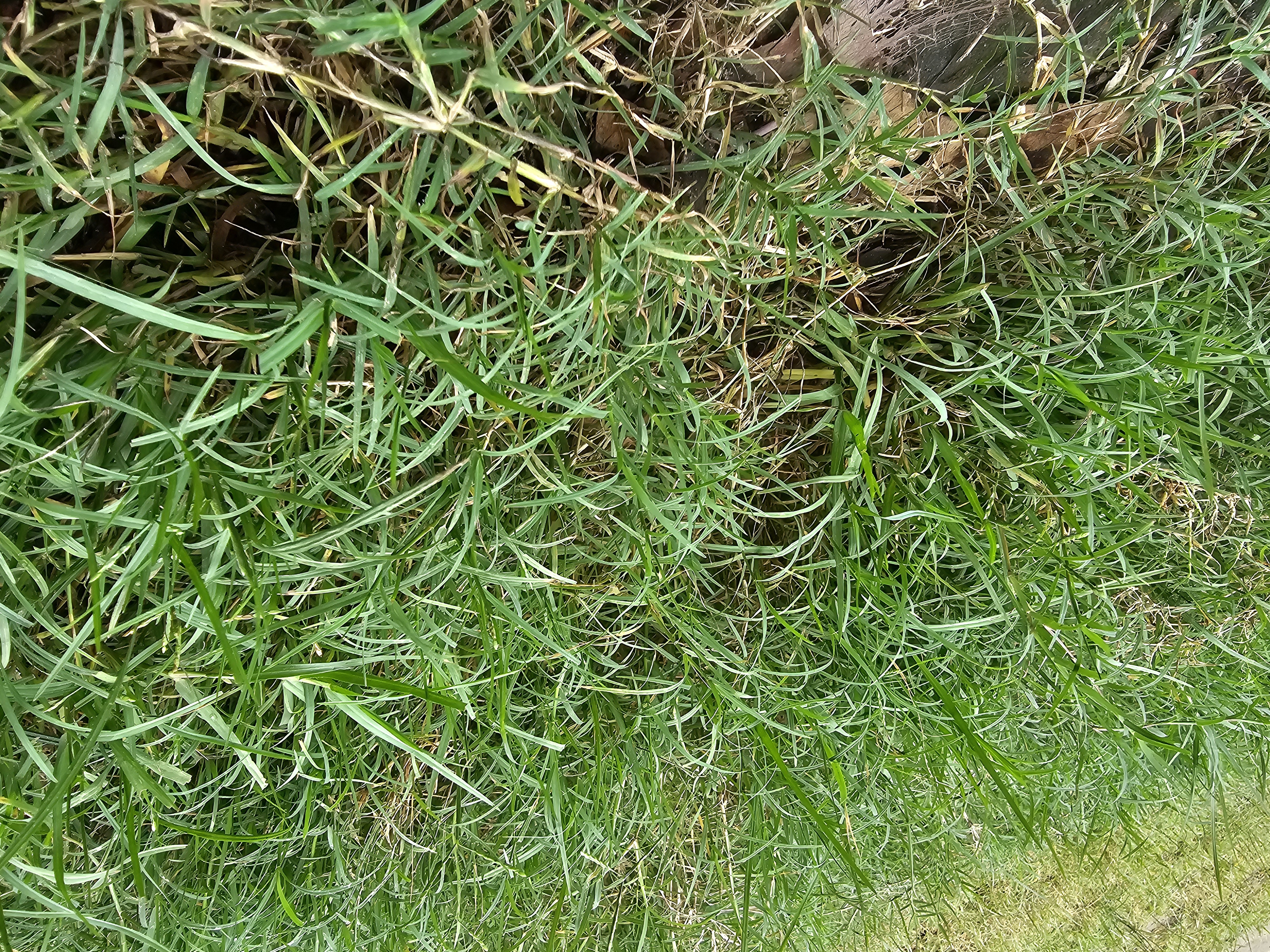 20260615_095008.jpg