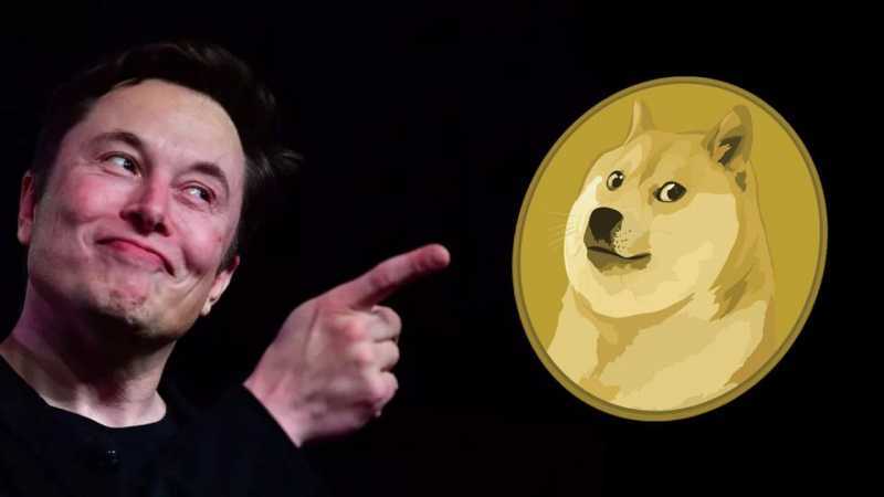 Eln-Musk-Dogecoin.jpeg