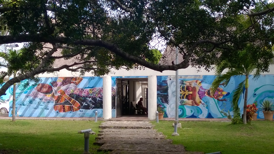 WP_20180212_001.jpg