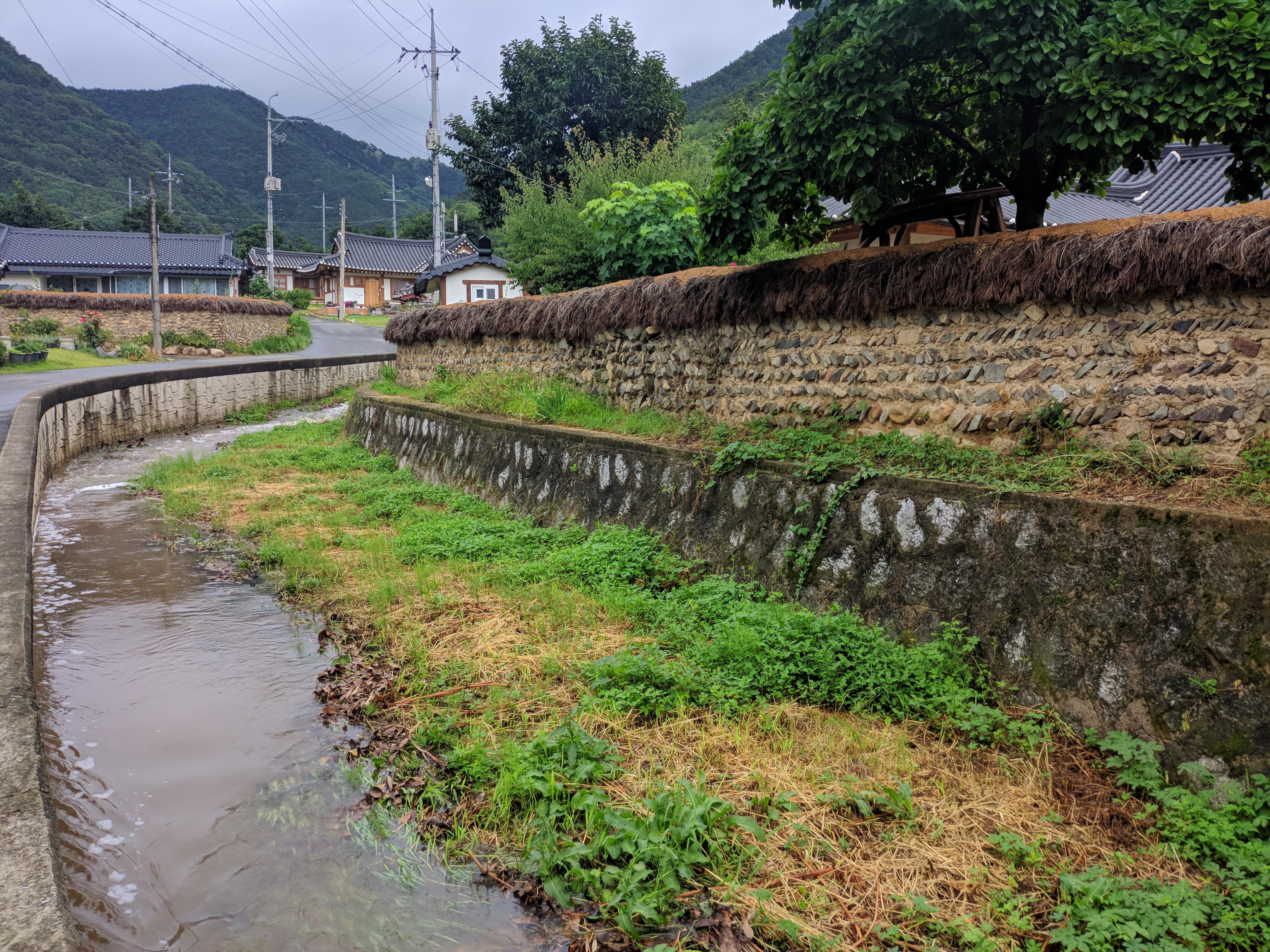 IMG_20180627_111823.jpg