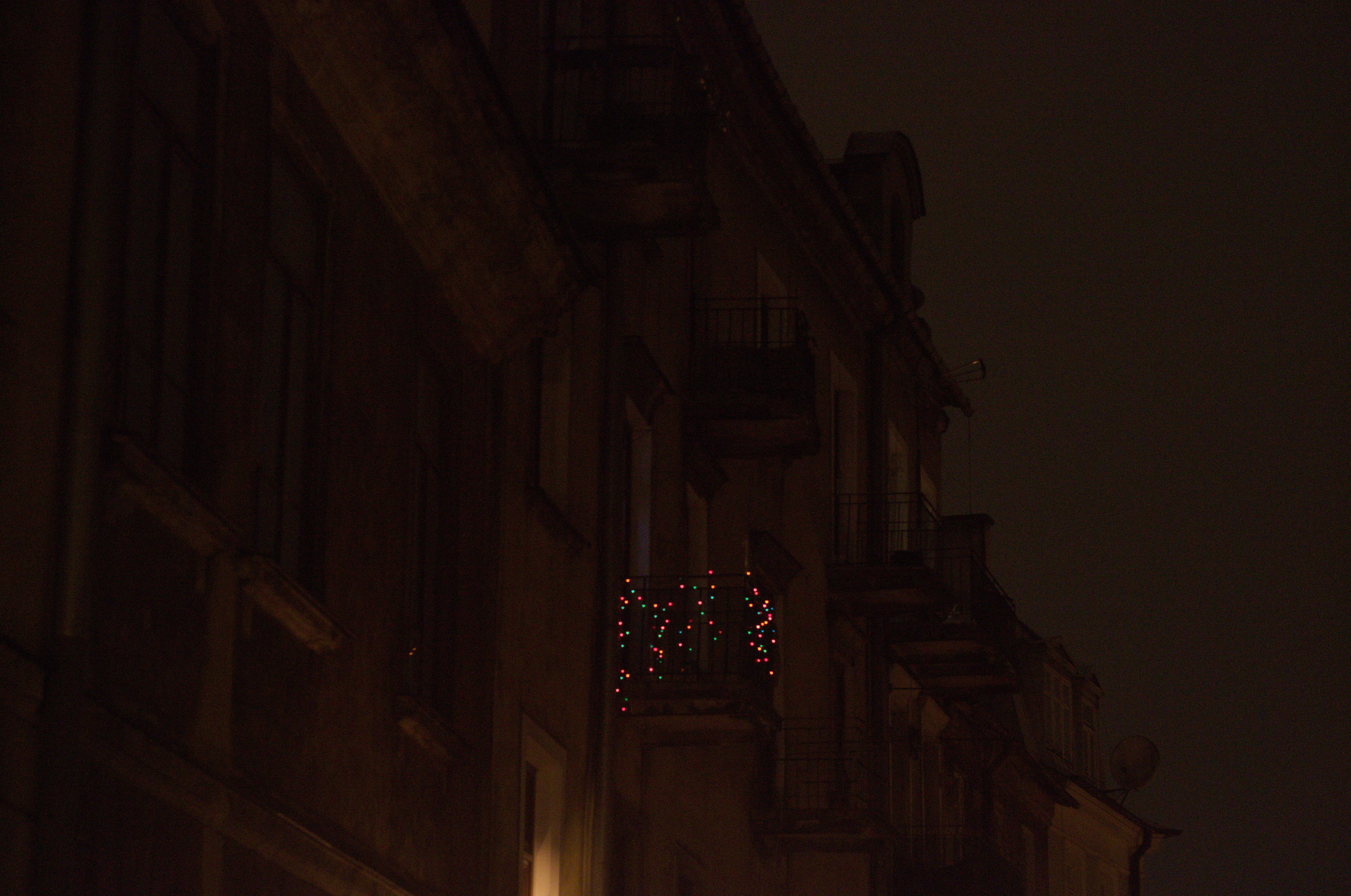 DSC_3969-1.jpg