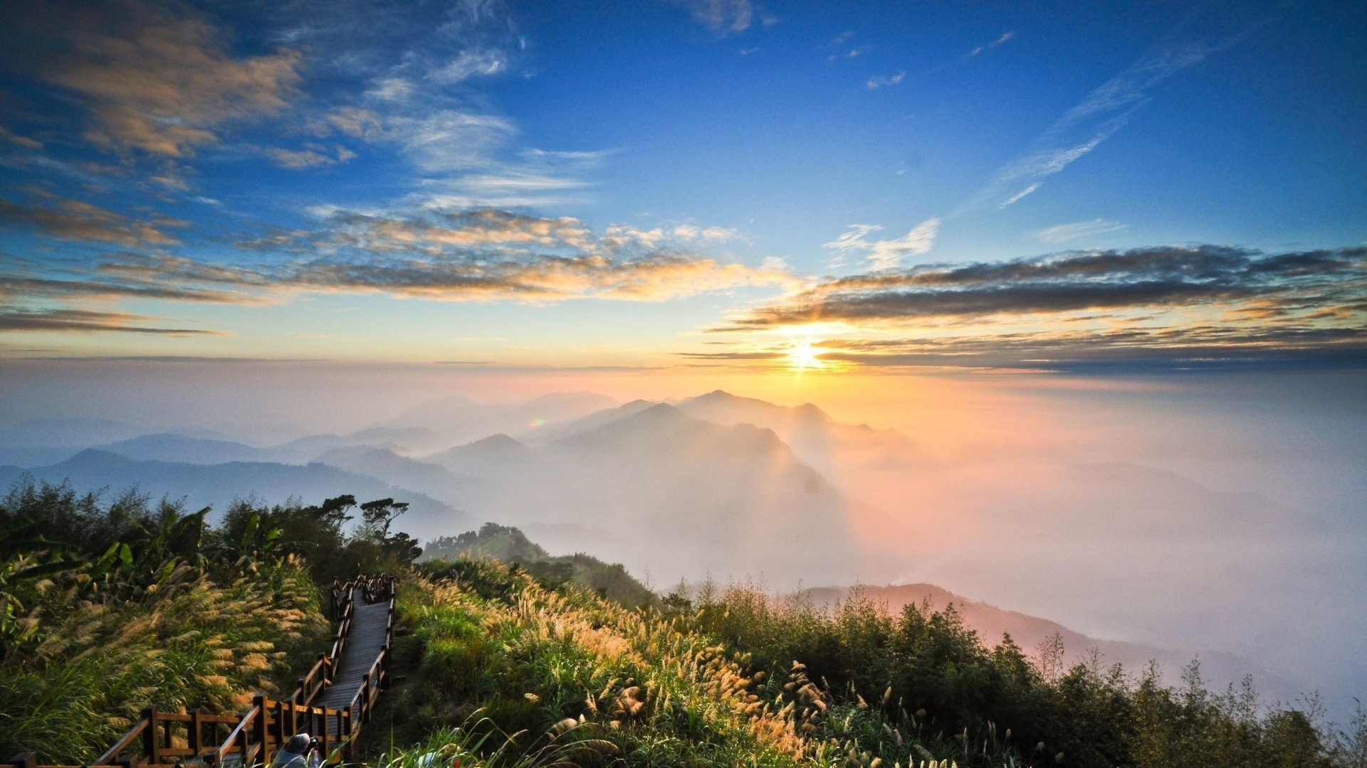 《飞鸟与夏花》每天一首自译飞鸟集（253-254/325） - Translate a poem from Stray Birds every day