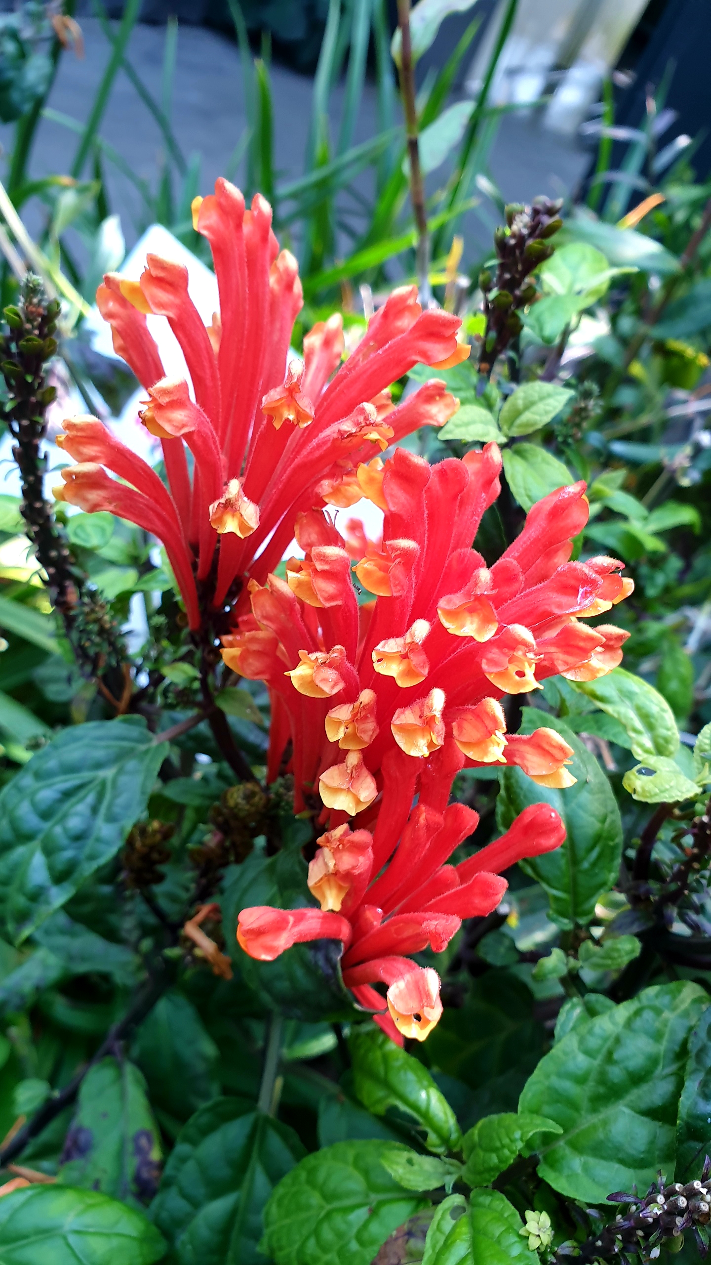 20190823_102835.jpg