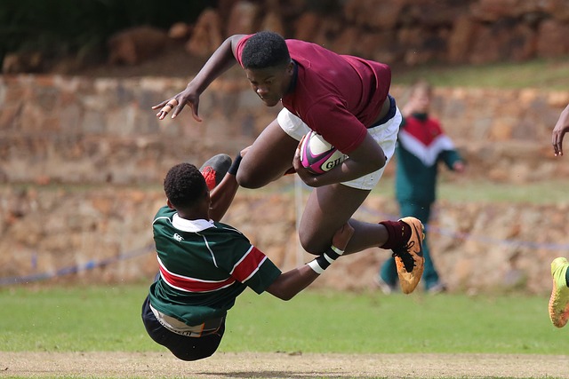 rugby-4773744_640.jpg