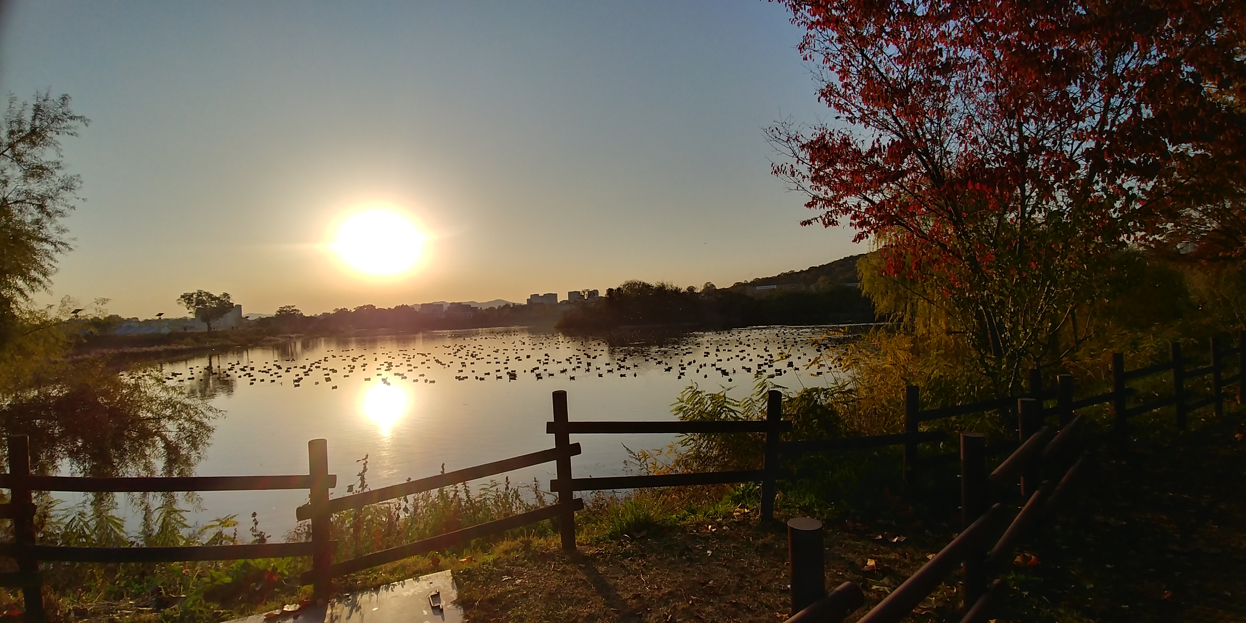 20191116_163329_HDR.jpg