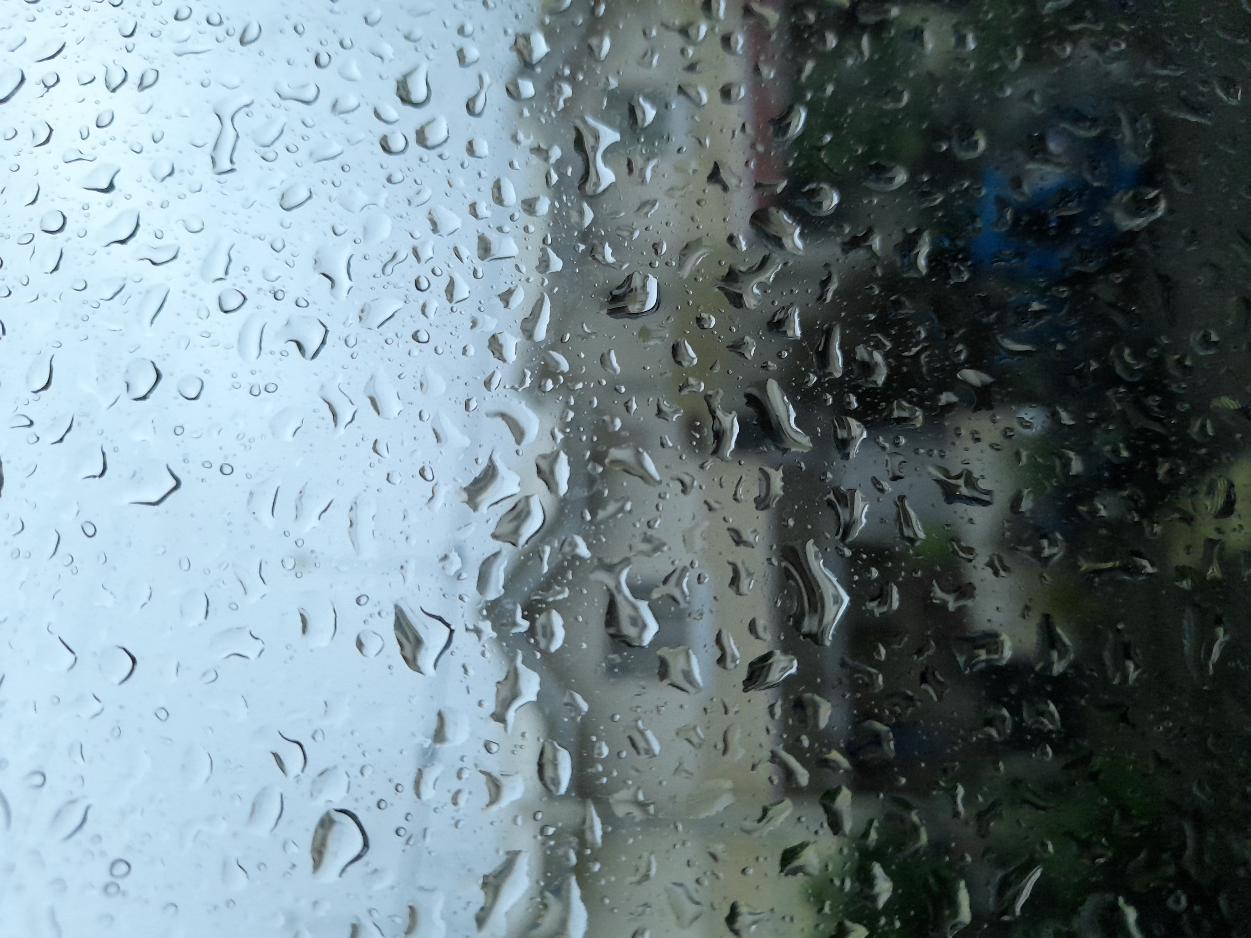20210722_173852.jpg