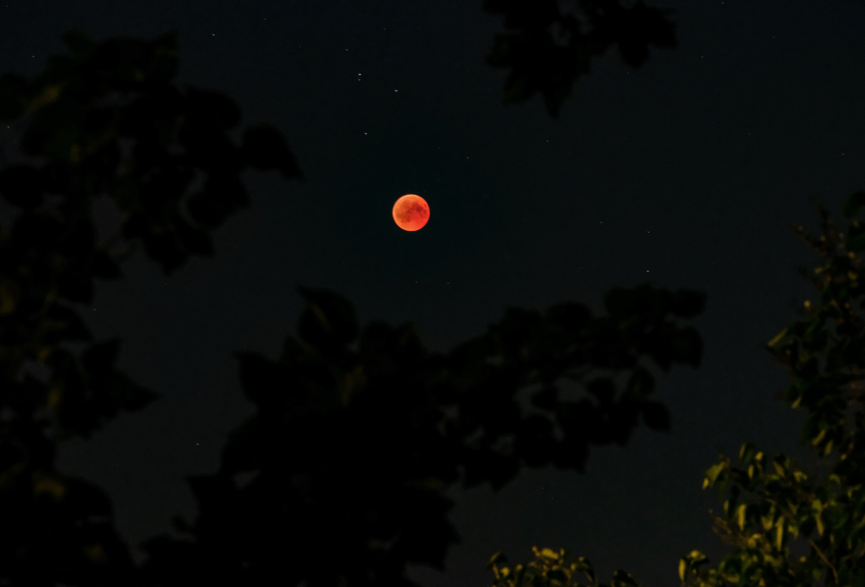 Bloody moon 2.jpg