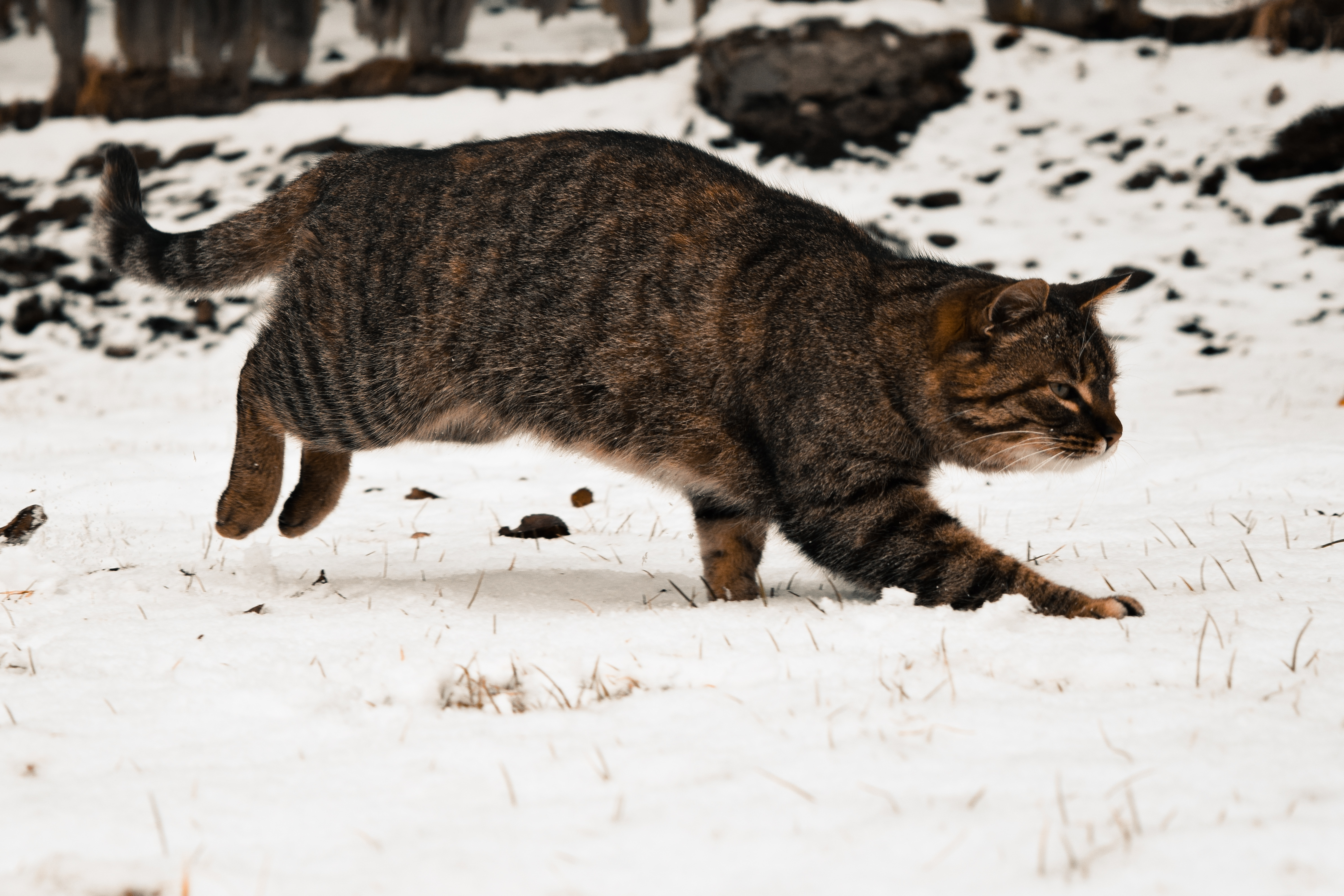 DSC_2799.jpg