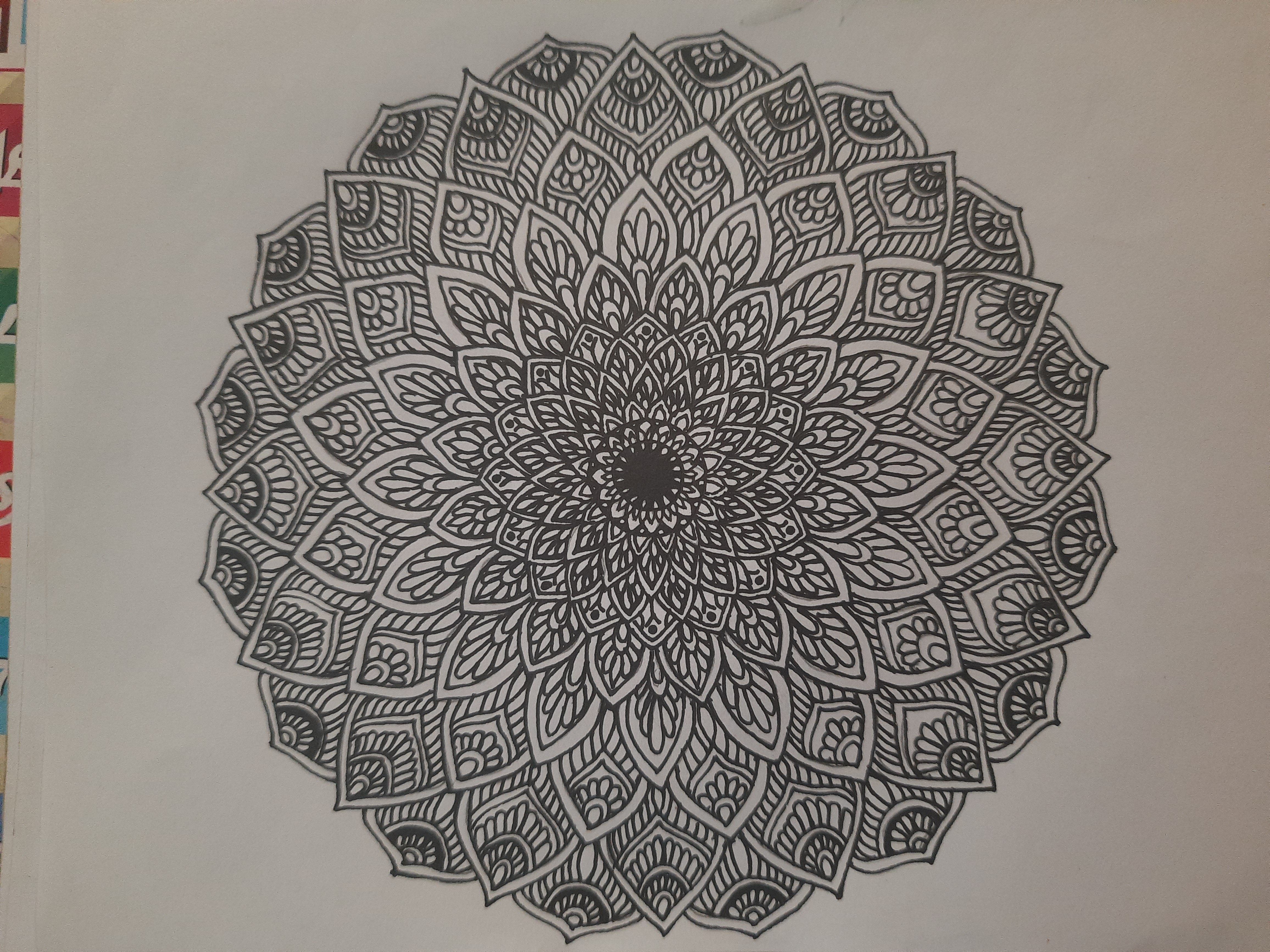 20260406_170731.jpg