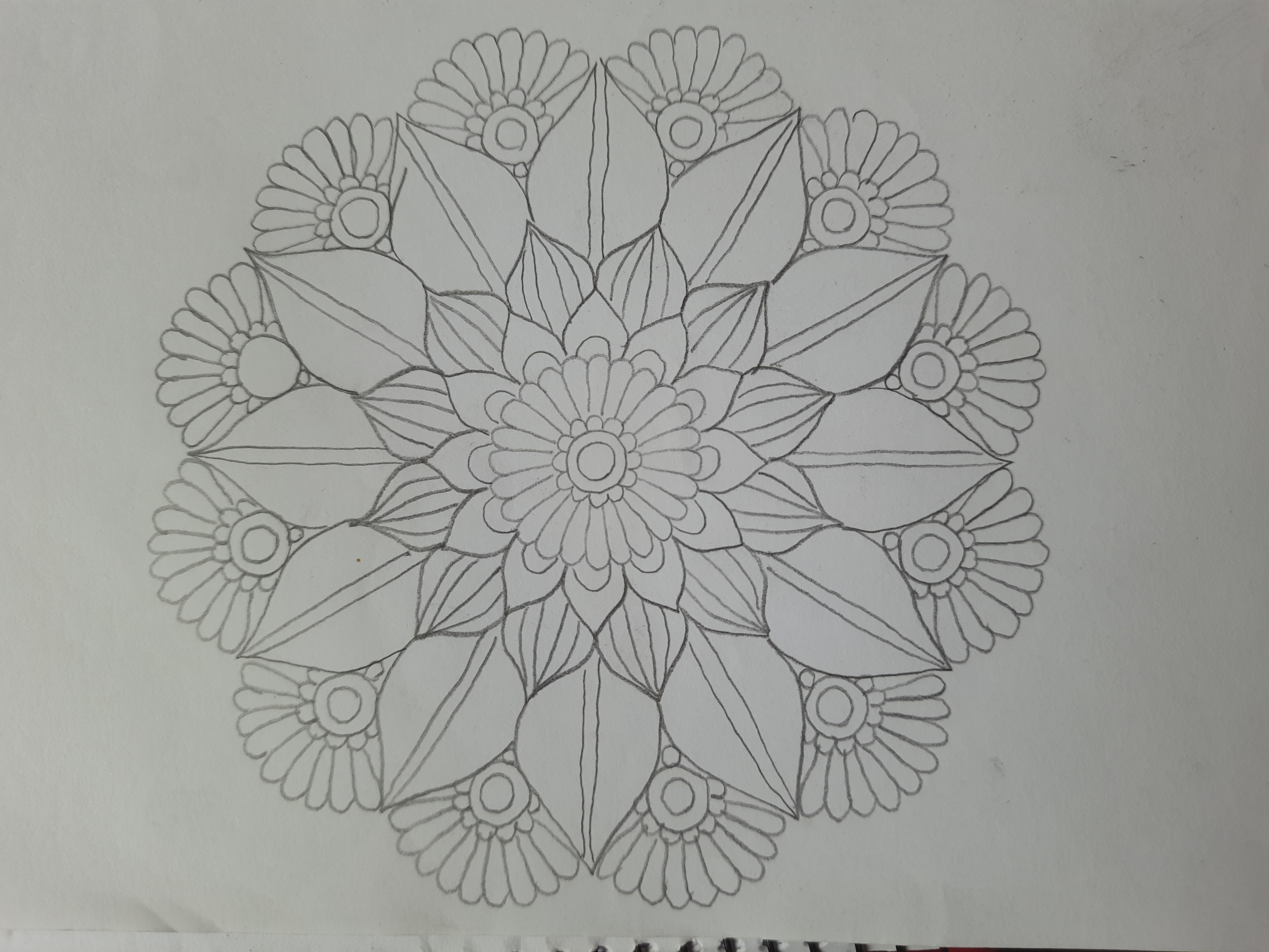 20260404_120226.jpg