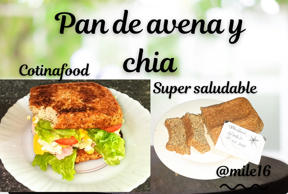 Pan de avena y chia_20250213_125619_0000.png