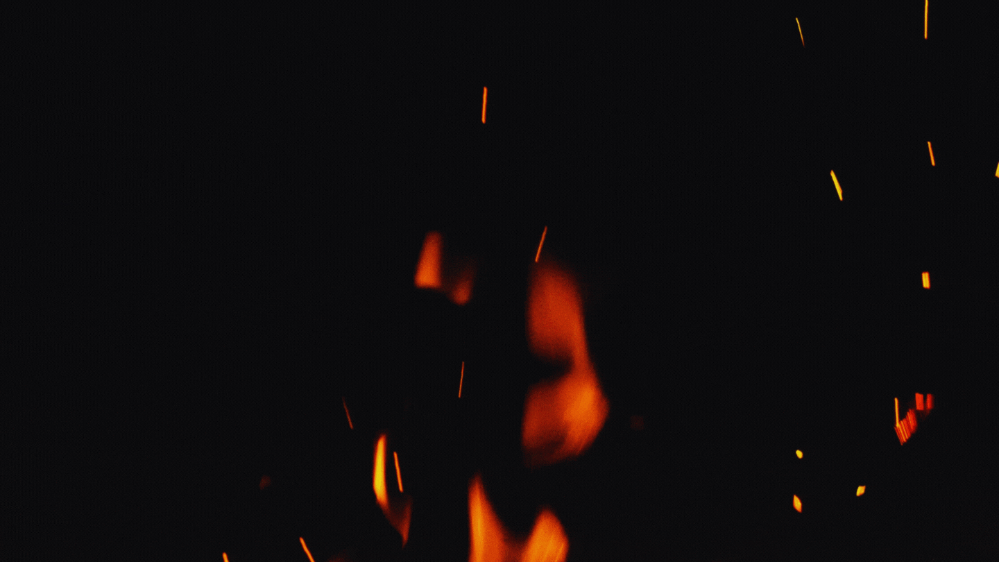 Poetry To Me Is Like The Wild.gif