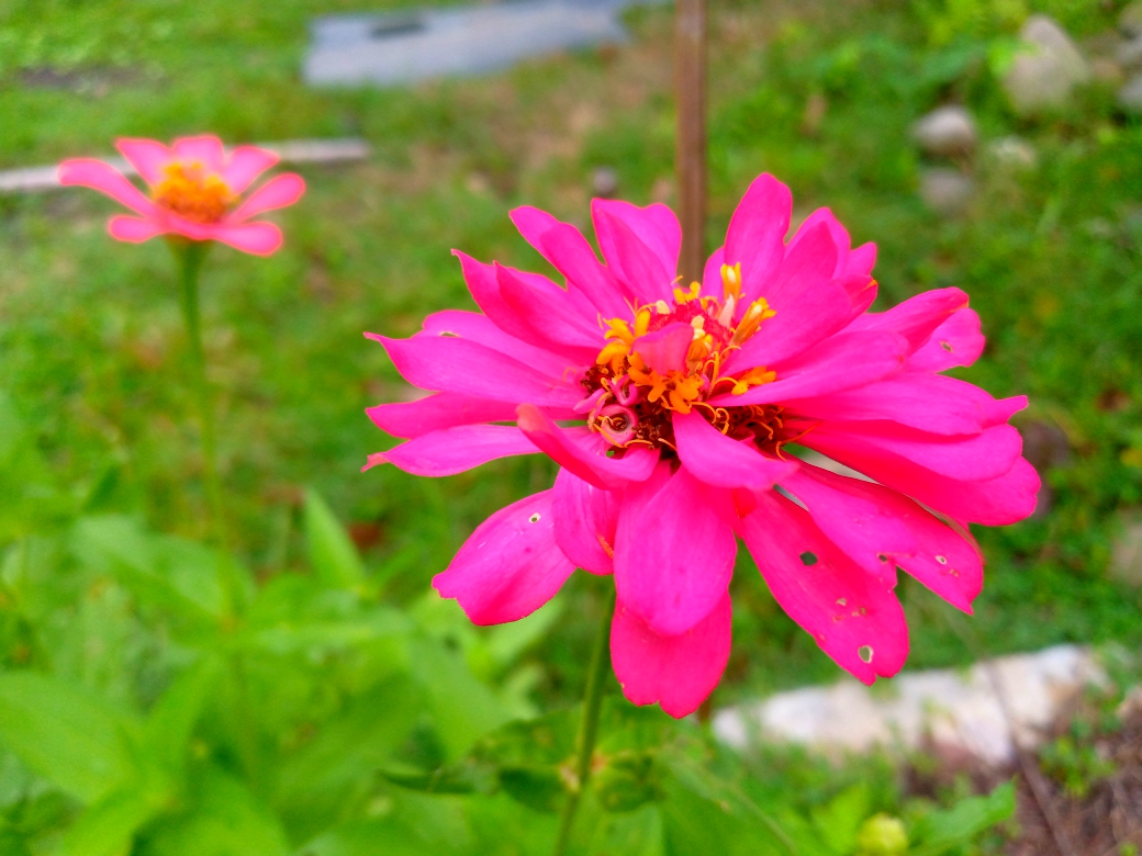 IMG_20210810_093259_530.jpg