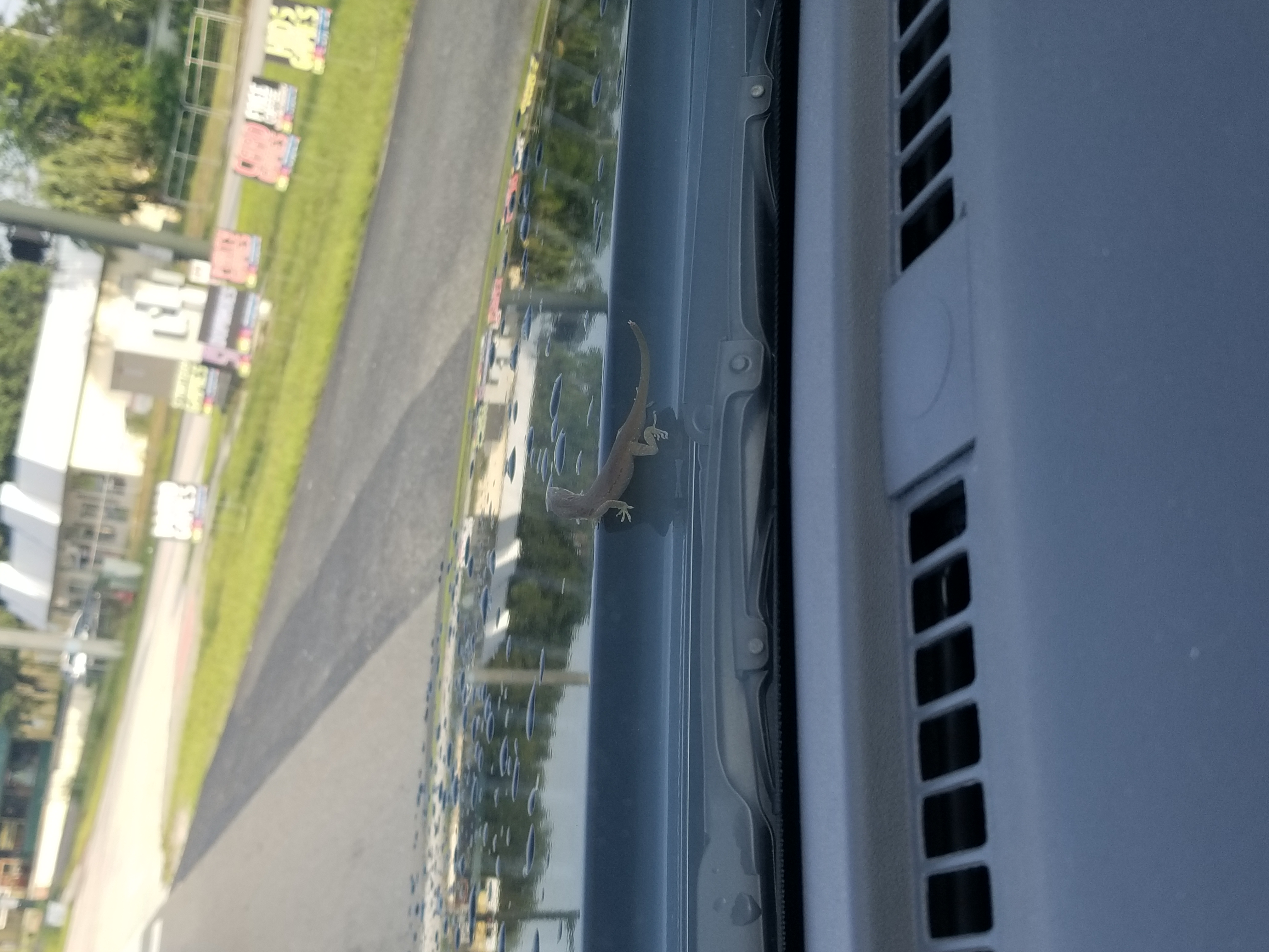 20180621_075221.jpg