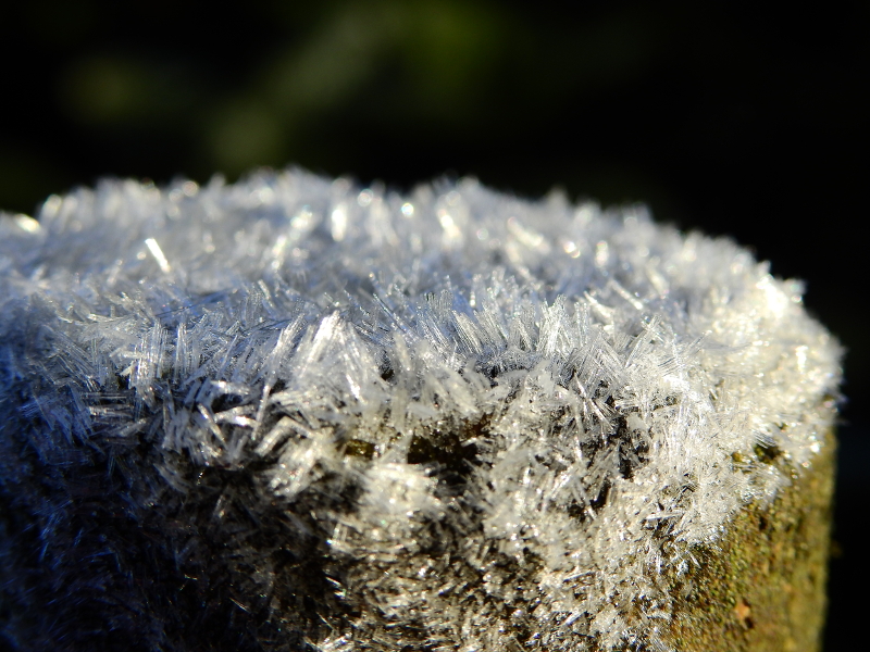 miniDSCN0556.JPG